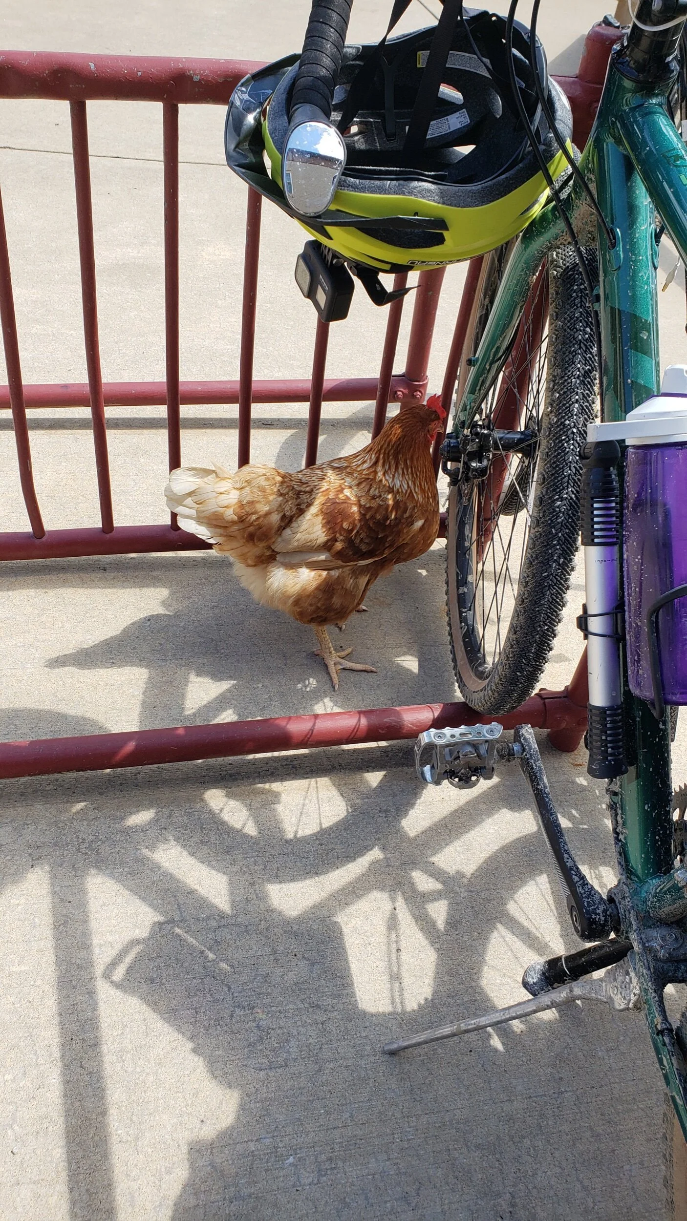 2021-06-22 15.12.03.jpeg