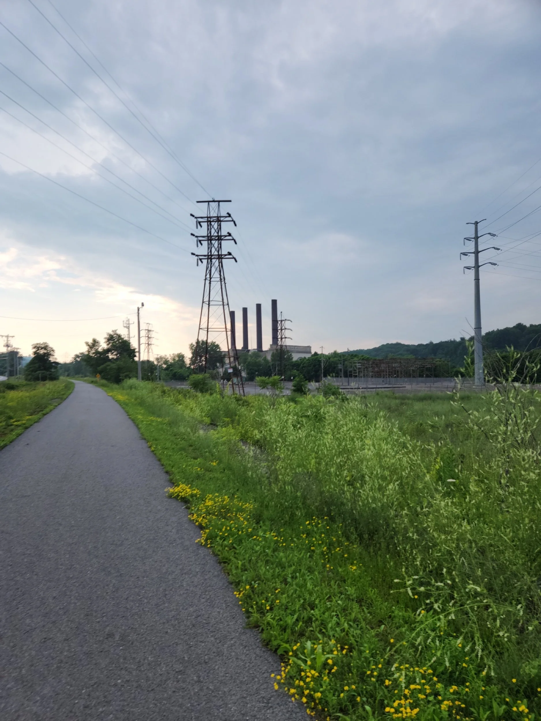 2023-07-05 17.31.23.jpeg