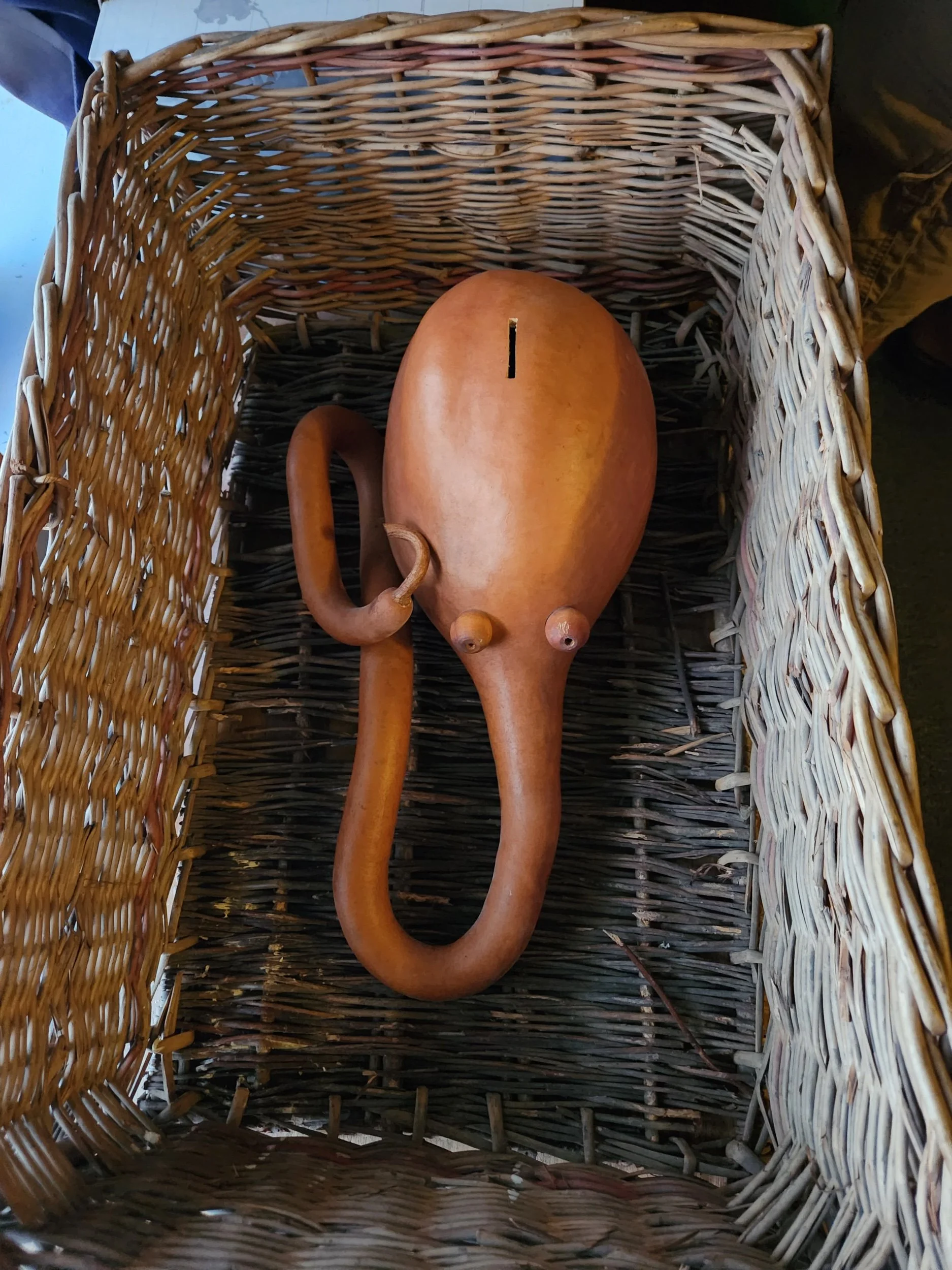 2023-07-09 18.23.50.jpeg