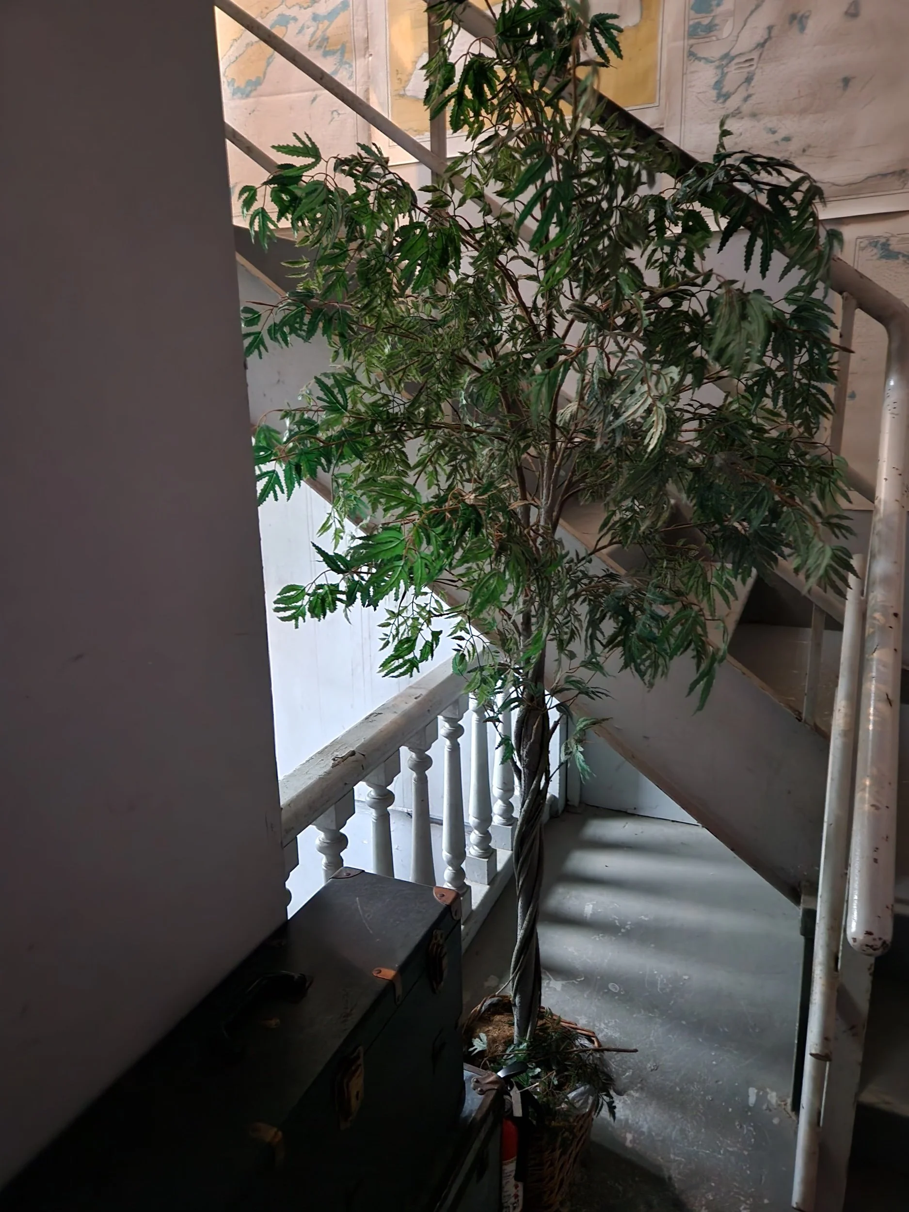 2023-07-09 18.30.18.jpeg