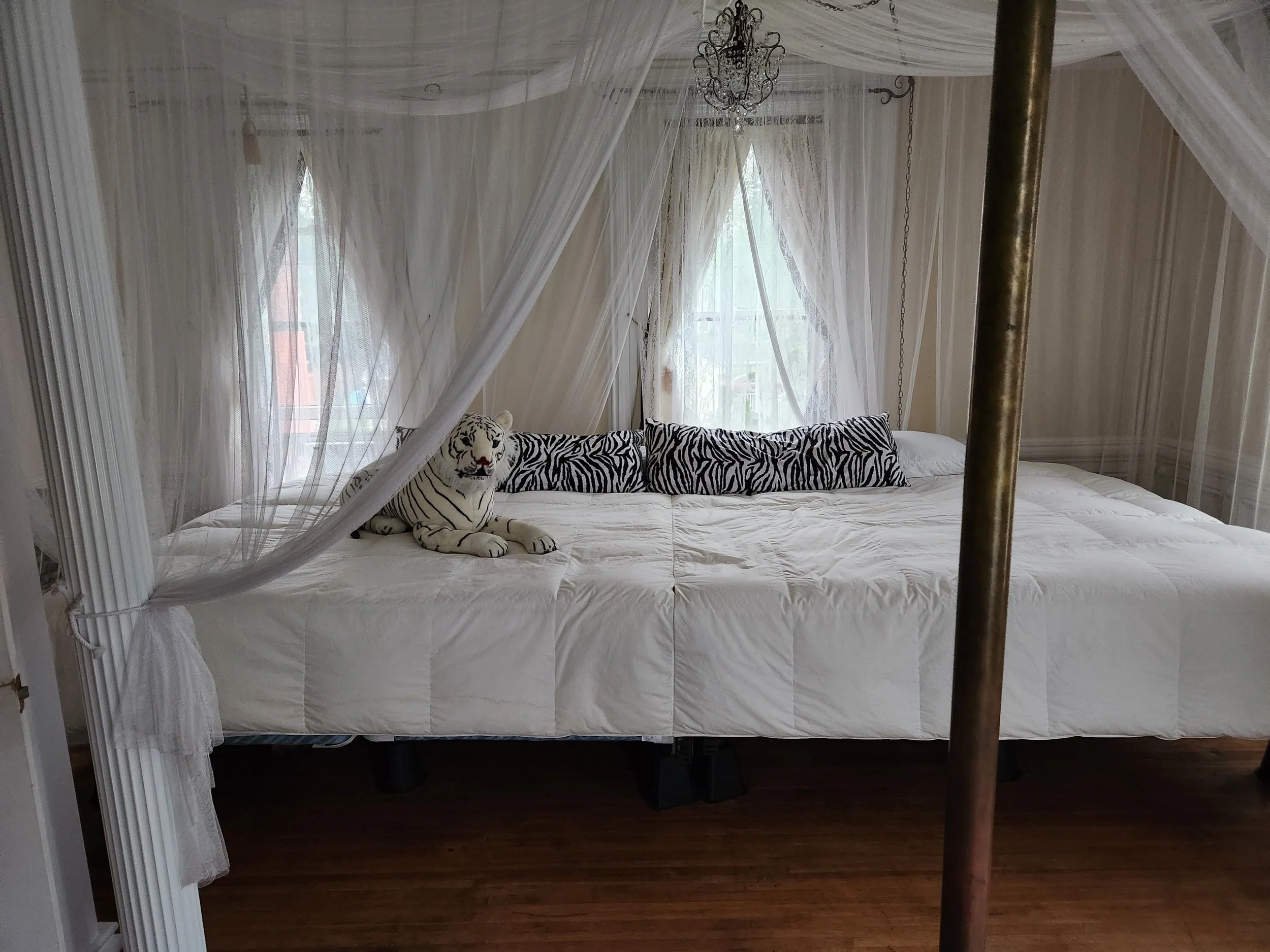 2023-07-09 18.03.44.jpeg