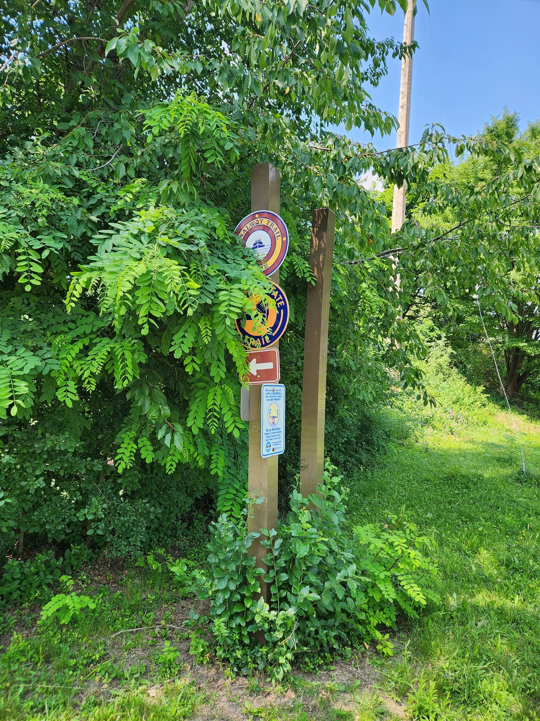 Easily missed signage