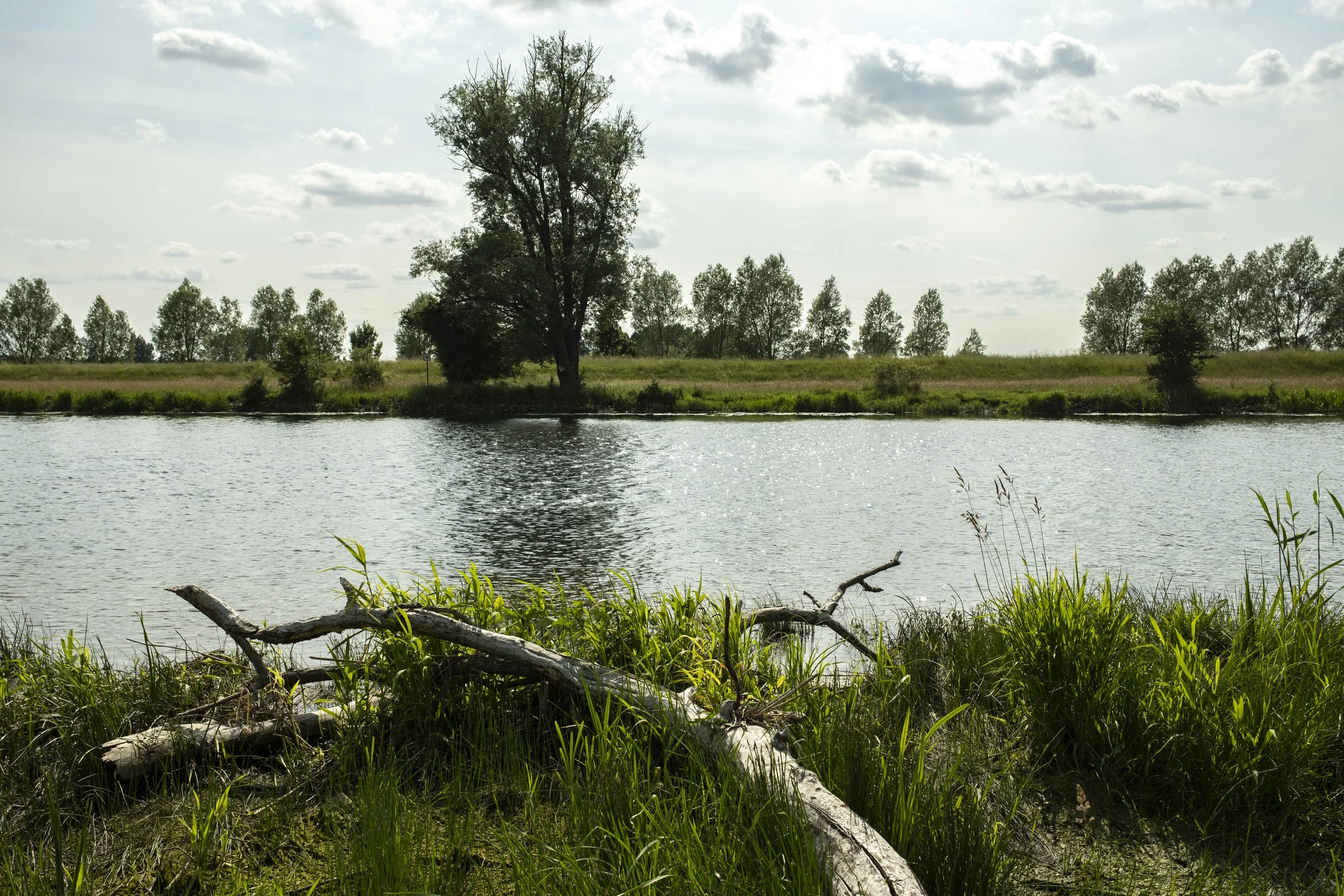 Fluvial Anthroposphere Havel