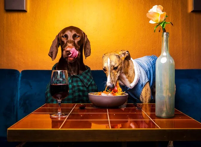 Dining Dogs.jpg