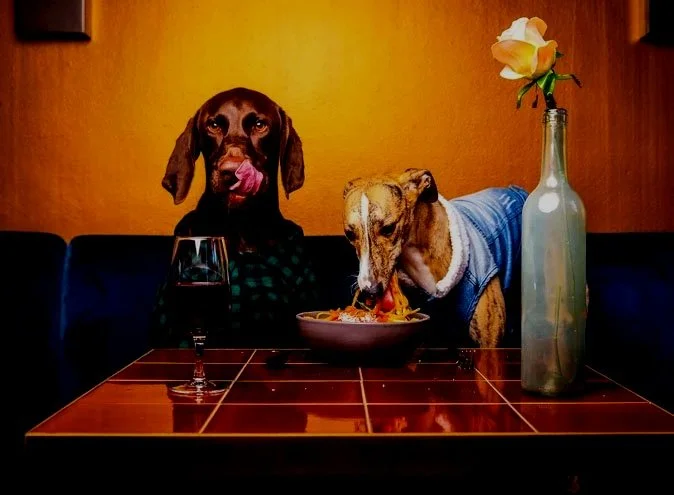 Dining Dogs.jpg