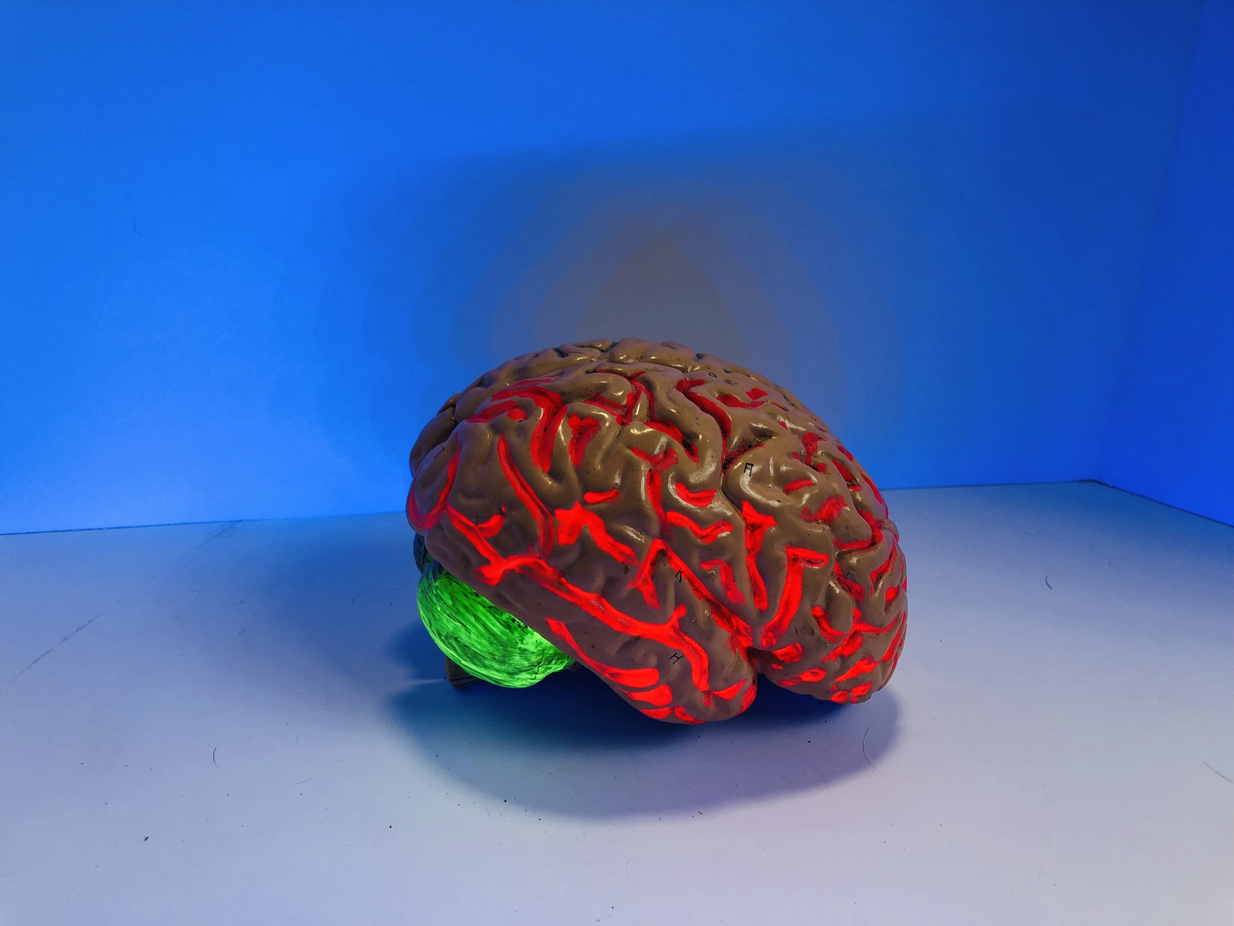 More About Pain, Degeneration, & Renewal