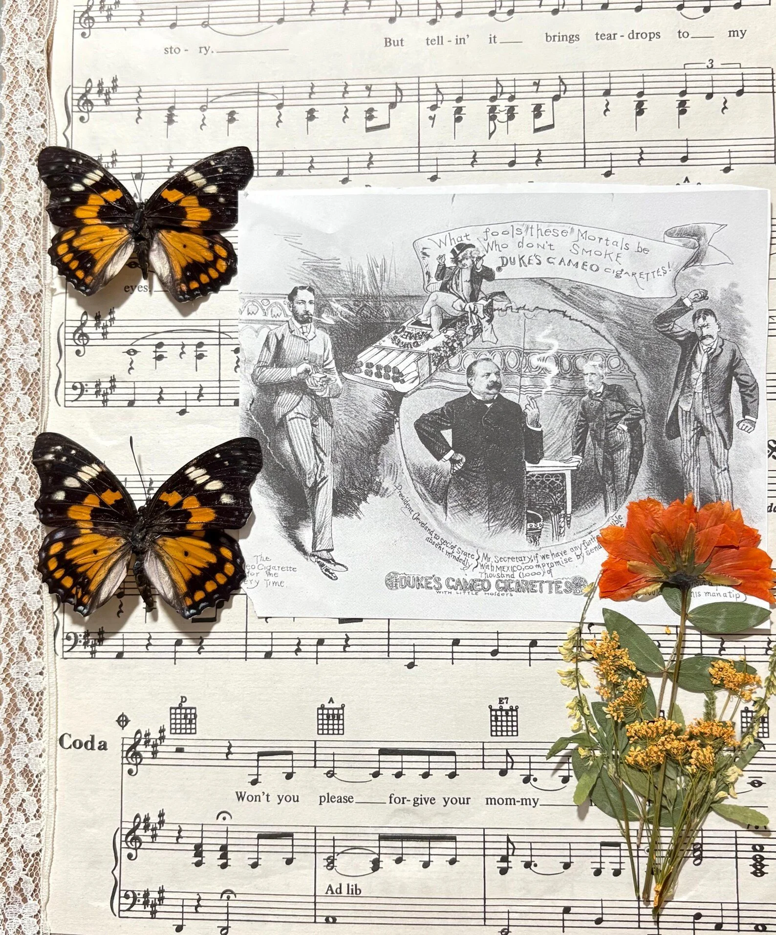 Pondy's Peculiarities