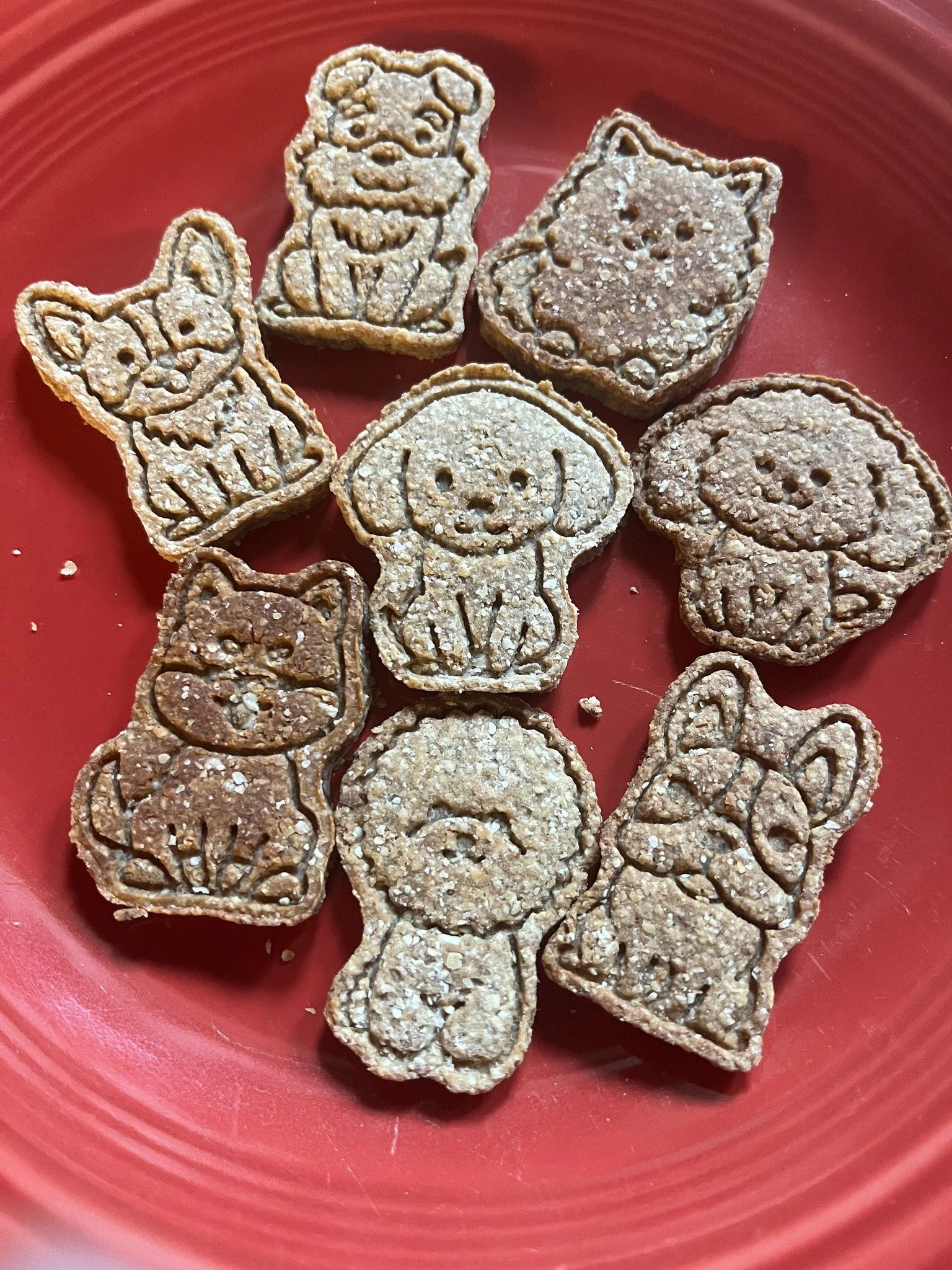 Auggie Doggie collars, leashes and more