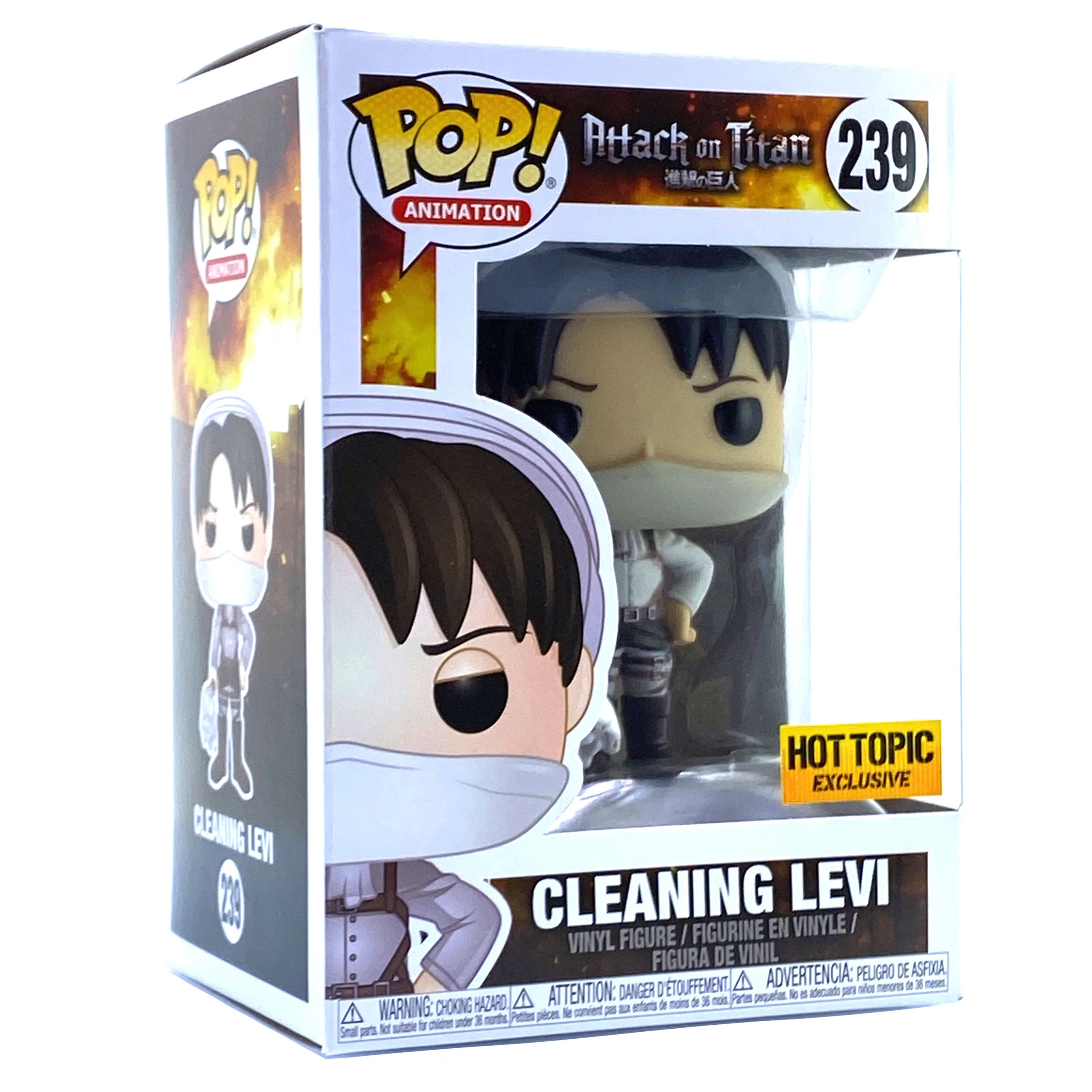 Cleaning Levi