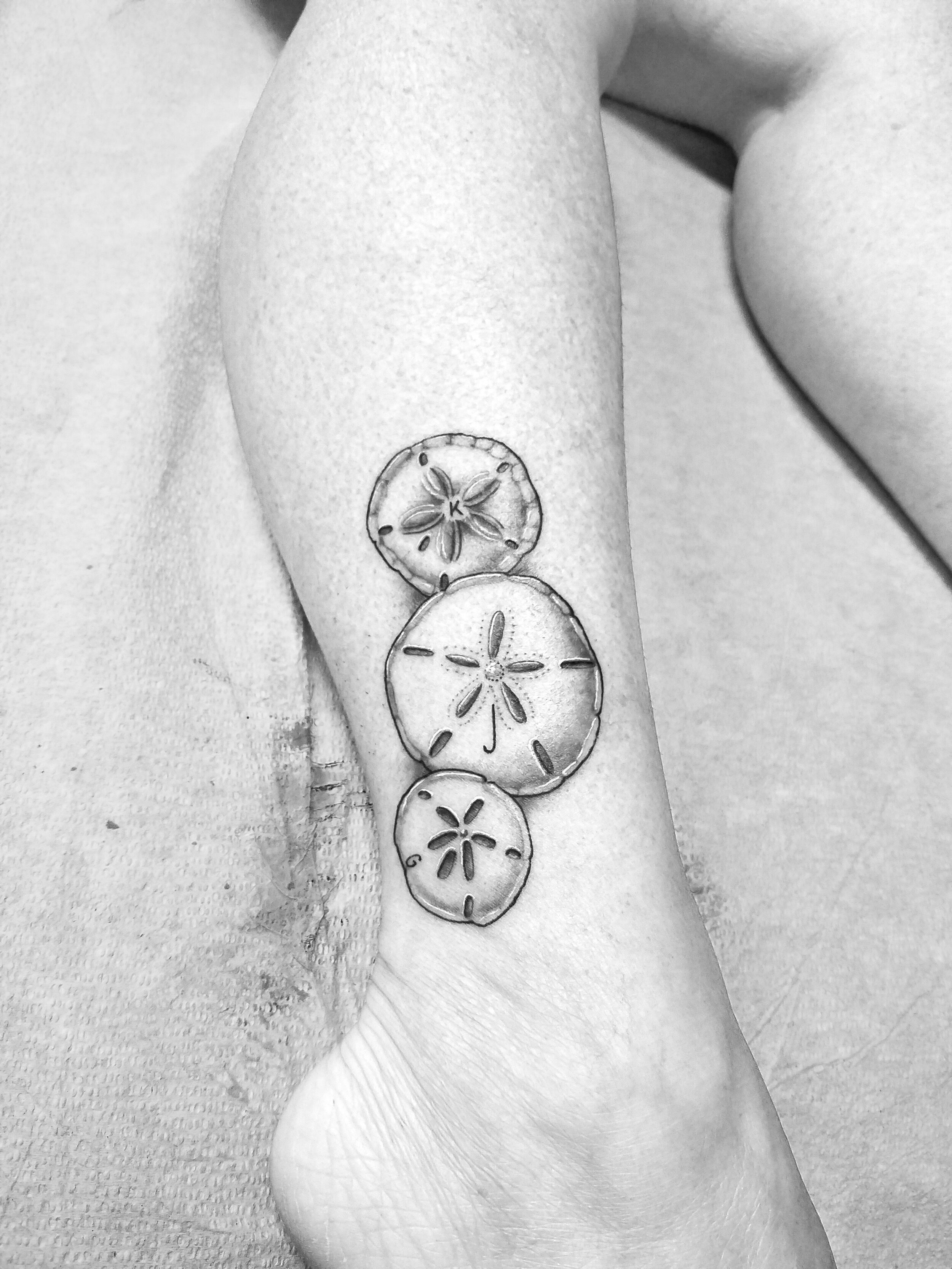 Top 50 Best Sand Dollar Tattoos For Women  Shell Design Ideas