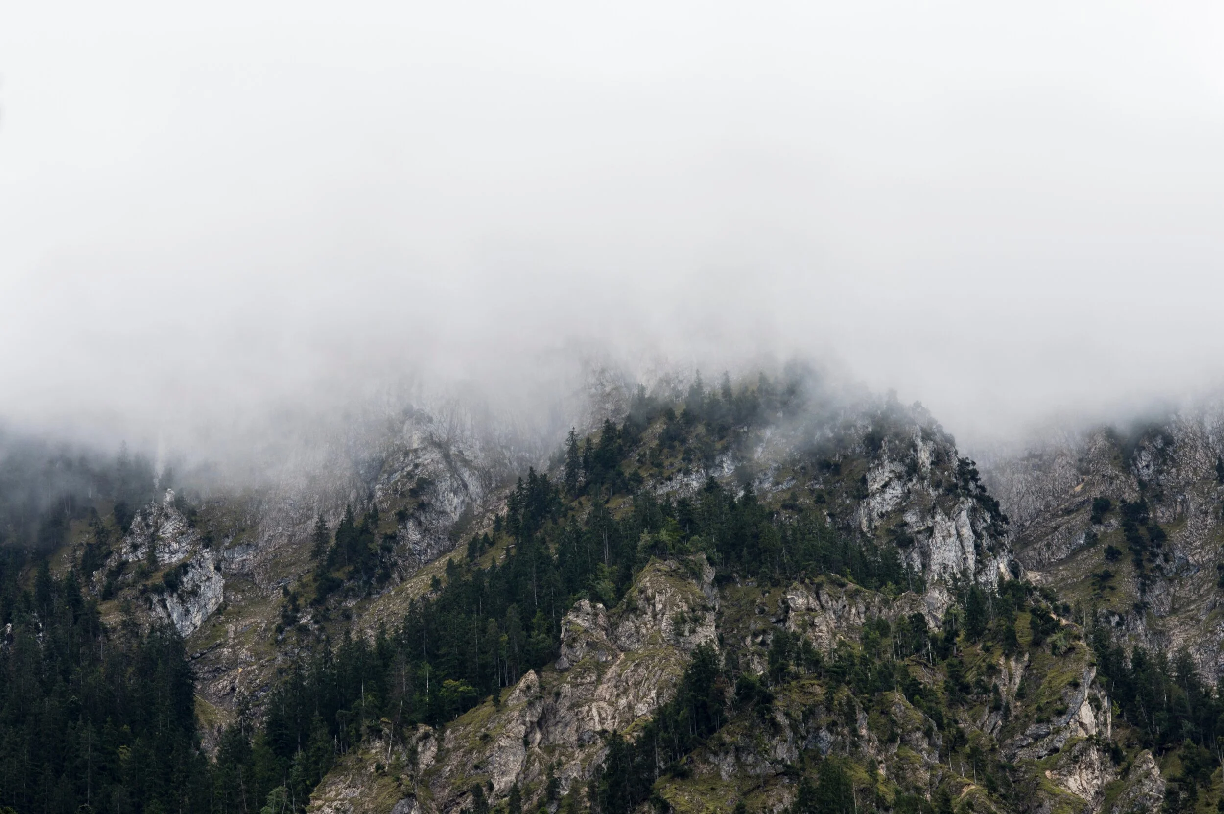 vilmos-heim-dM4ppxLsxbM-unsplash.jpg