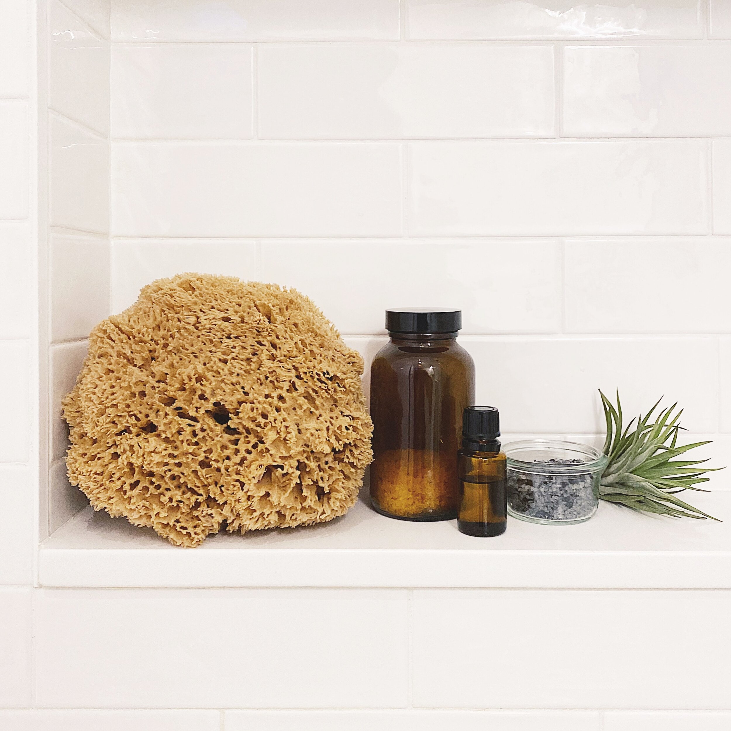 Natural Sea Sponge - Large