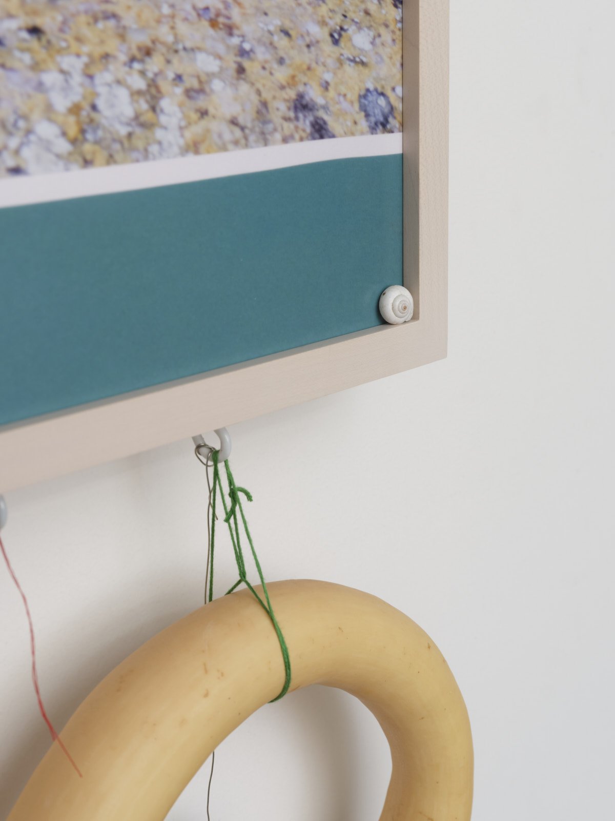 01_SquashLichen_detail_2.jpg