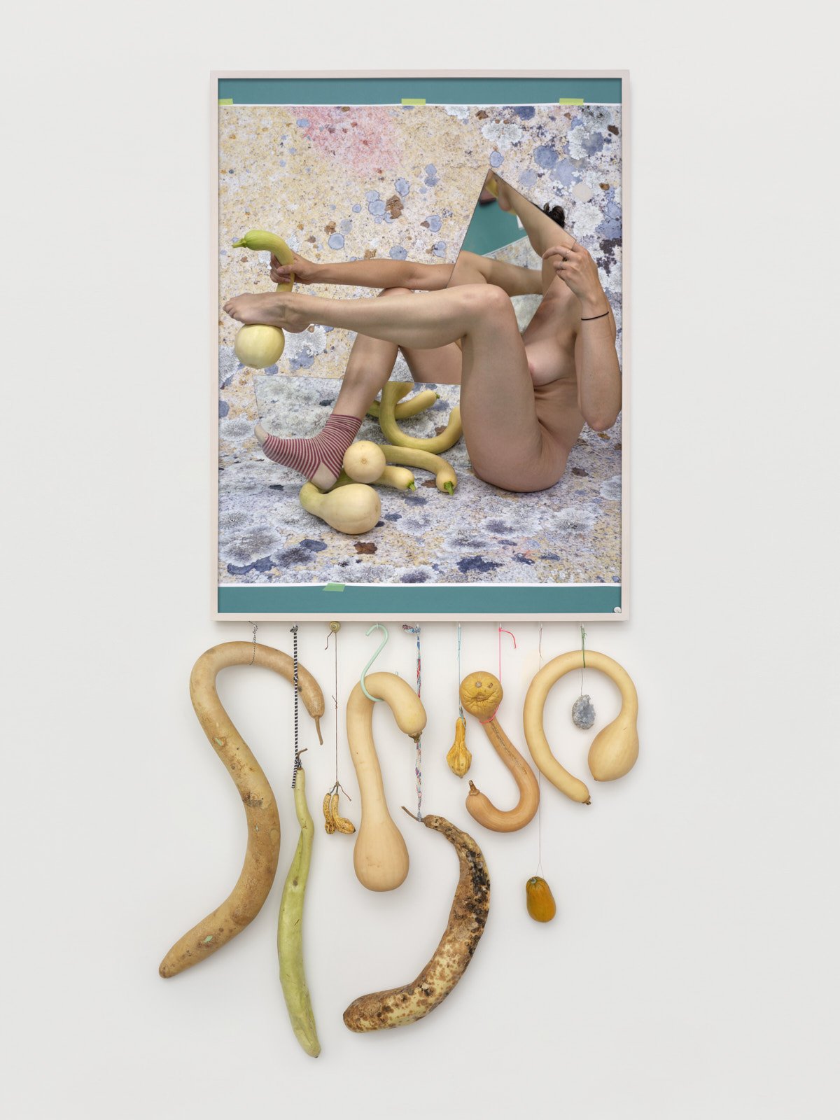 01_SquashLichen.jpg