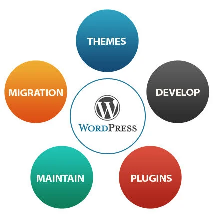 wordpress migration and develop.jpg