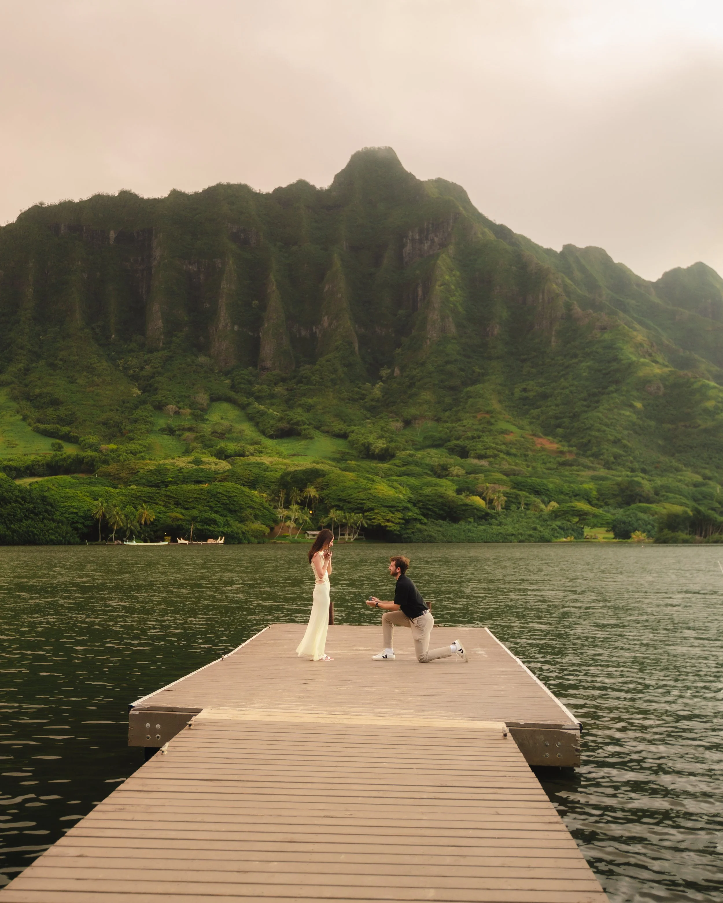 Romantic marriage proposal photography at Kualoa Regional Park surrounded by lush Hawaii scenery