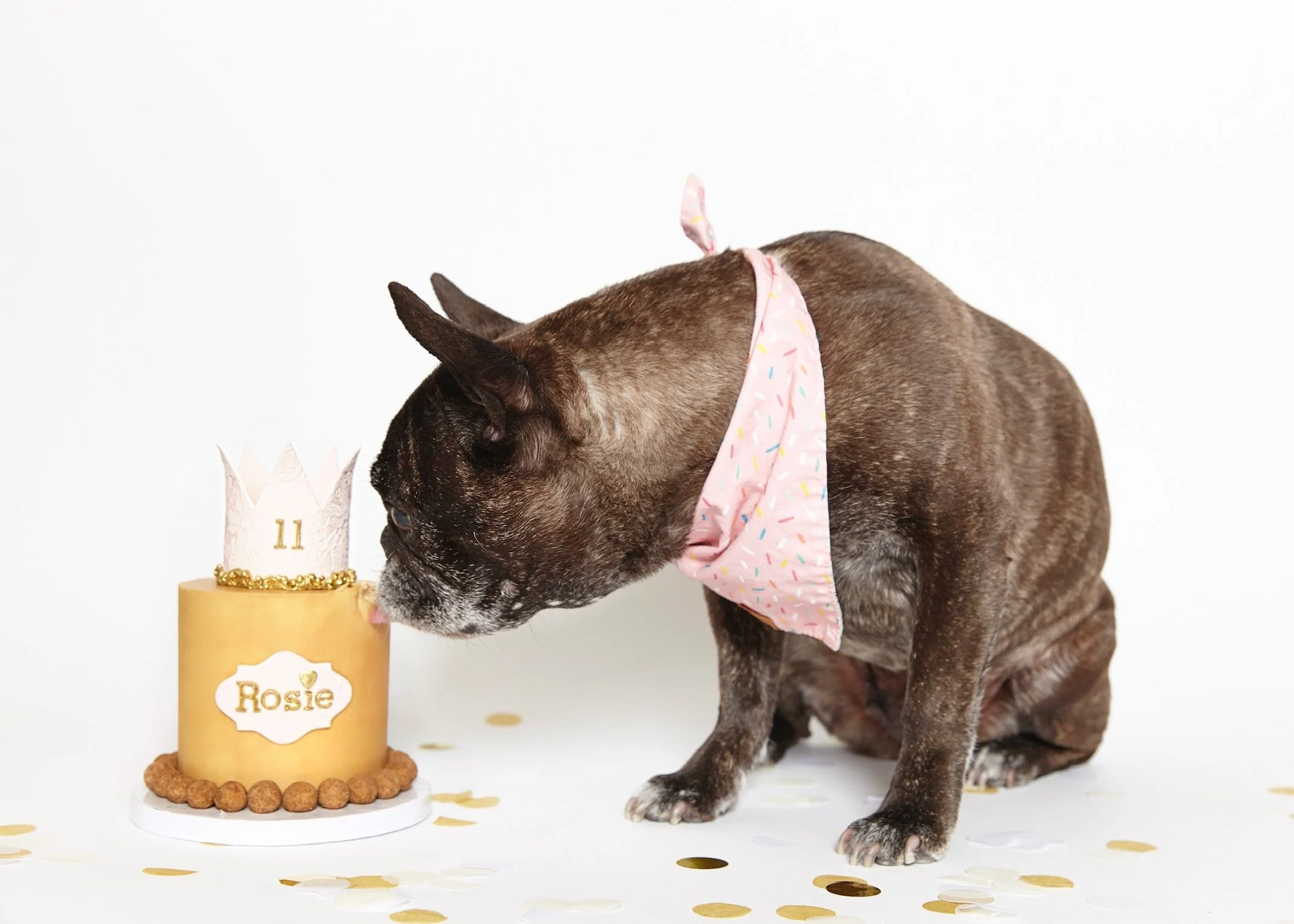 photo by Say Woof Studios