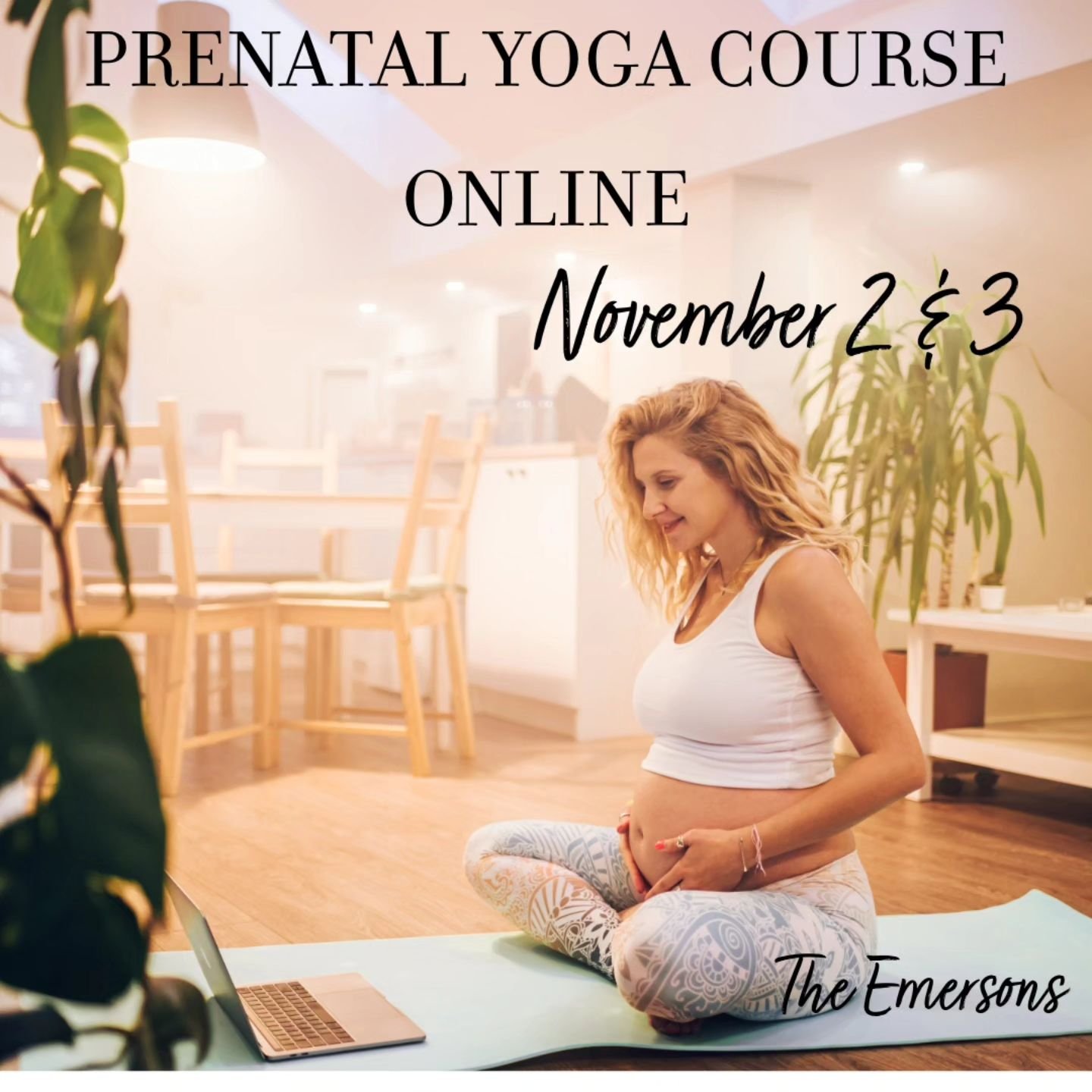 Join us for our upcoming Emerson Prenatal Yogal Teacher Training online with Amber Jean

Saturday November 2nd and Sunday November 3rd we will meet live on zoom from 12-3:30pm for a continuing education teacher training on how to practice and teach P