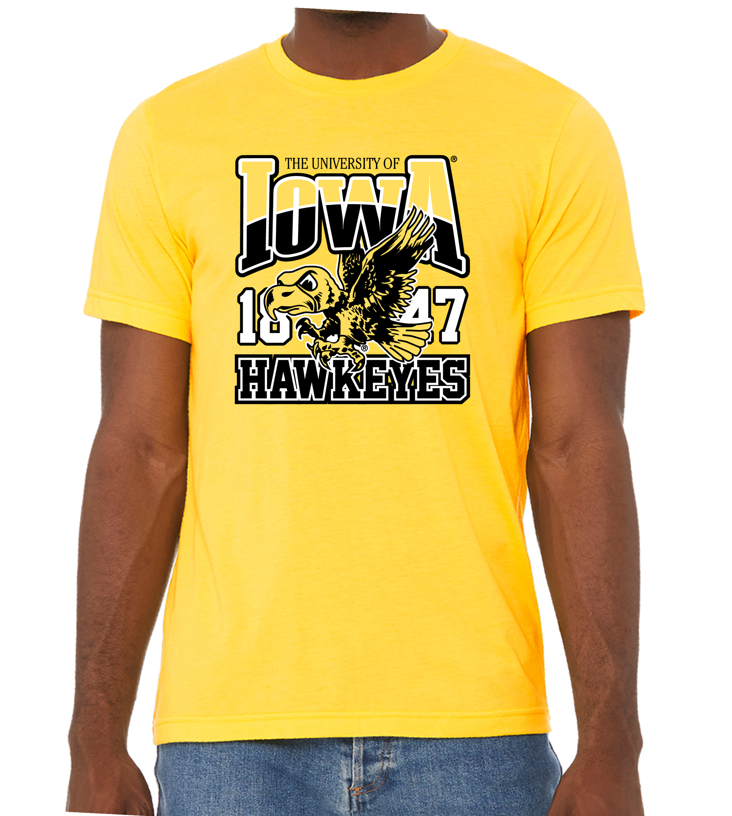 University of Iowa Fall Collection