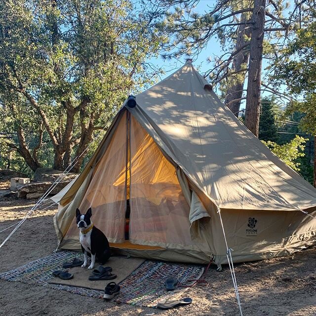 Nothing like a some nature for a refresh. Lucky we brought our guard dog 🏕