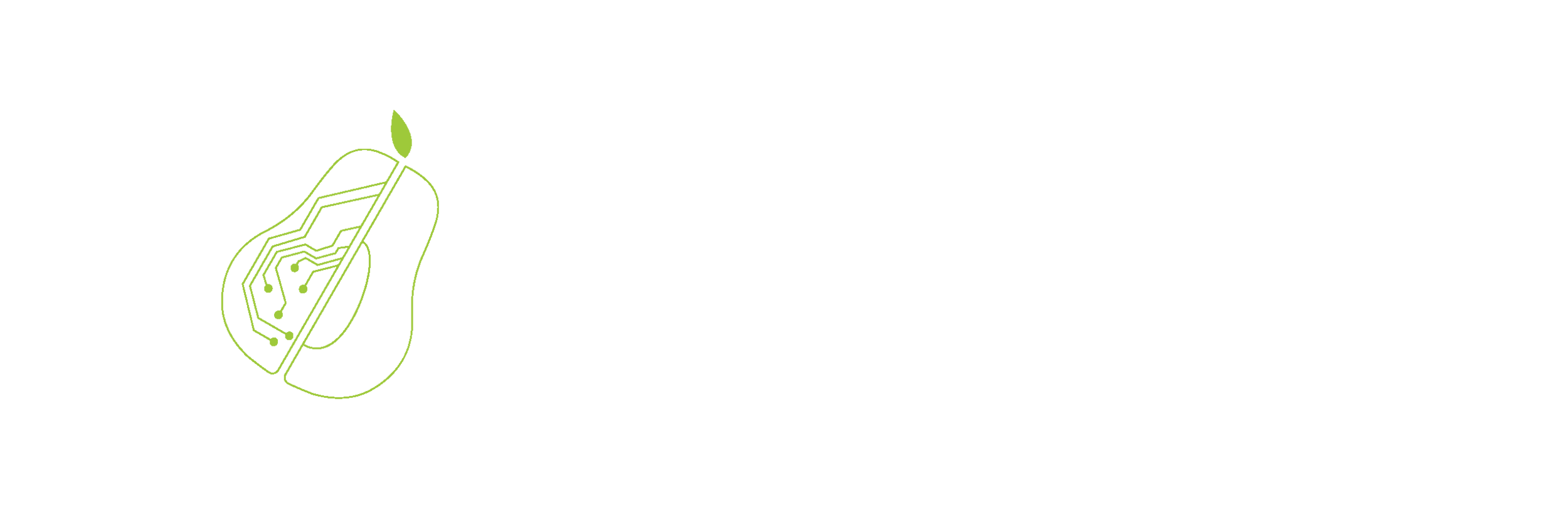Digital Twin Corporation