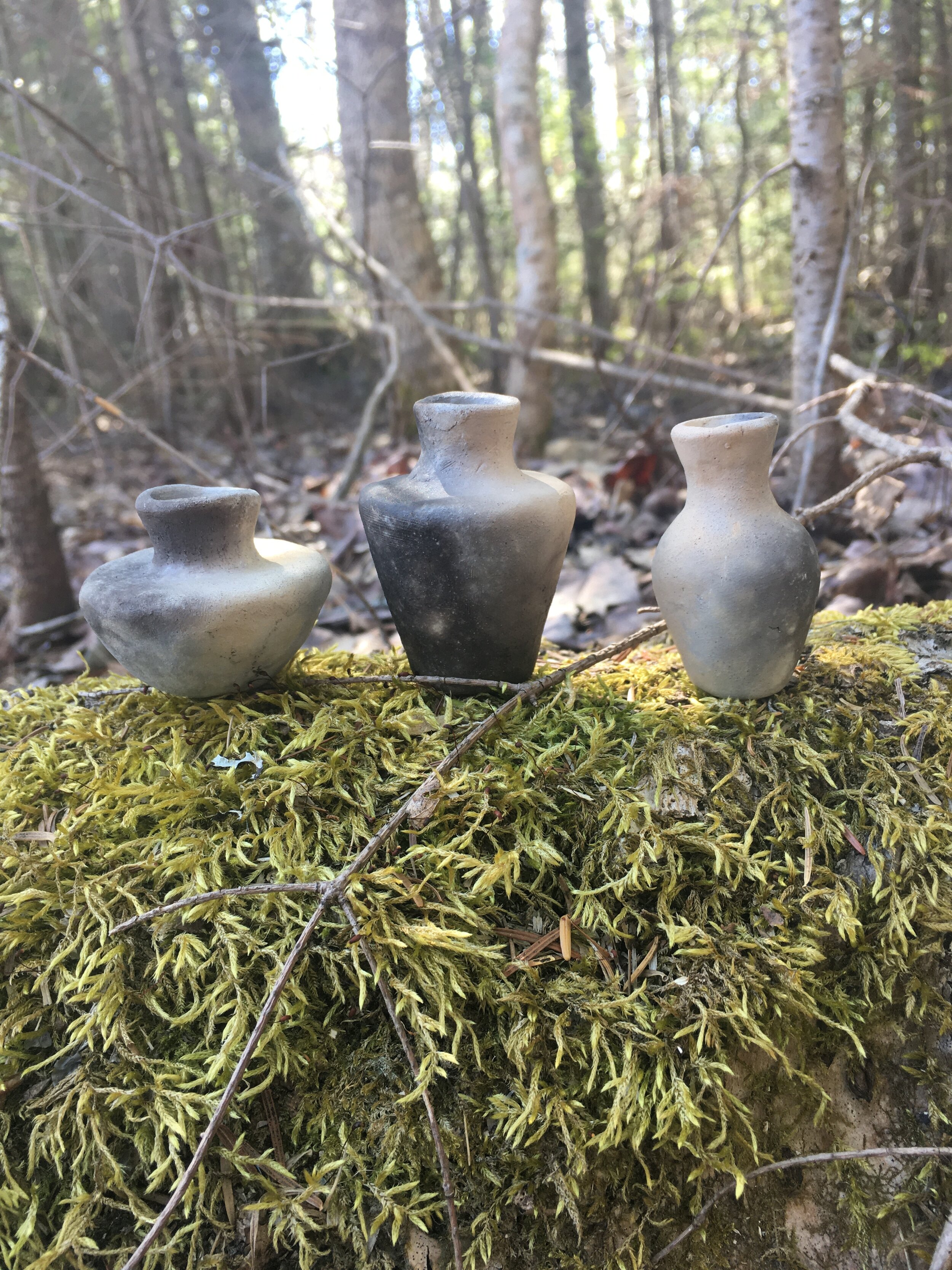 Tiny Pandemic Pots - Photoshoot