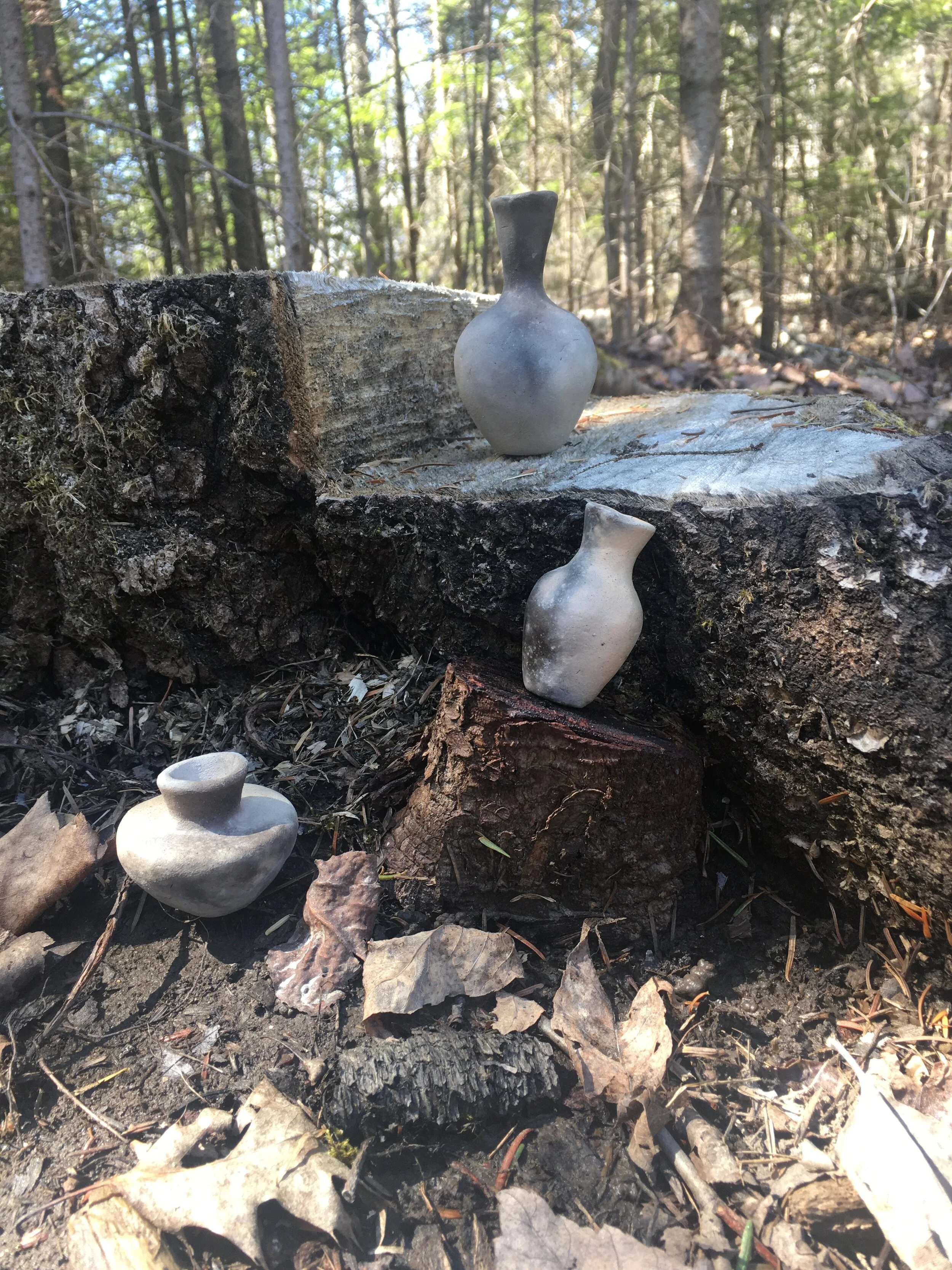 Tiny Pandemic Pots - Photoshoot 