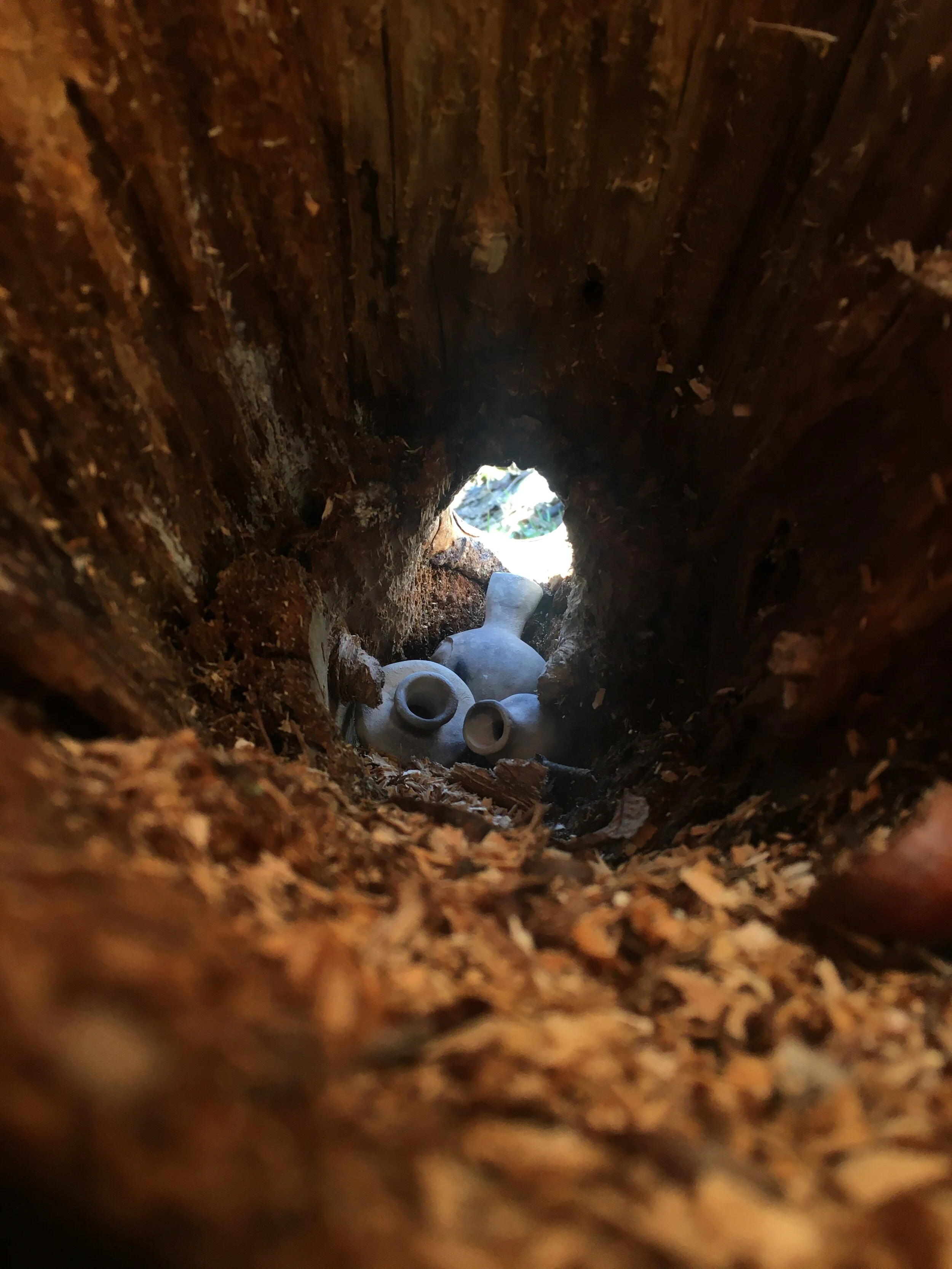 Tiny Pandemic Pots - Photoshoot