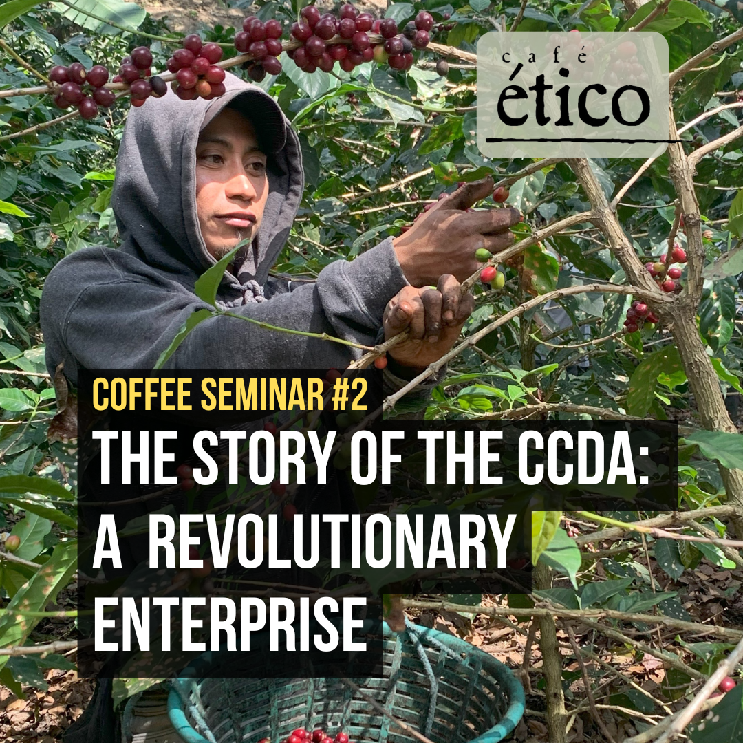 The Story of the CCDA: A Revolutionary Enterprise