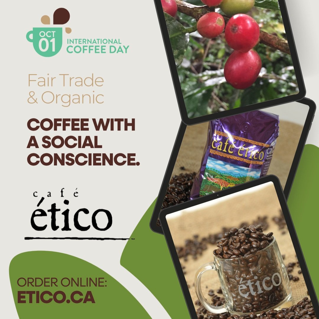 Every October 1st, the world stops to celebrate coffee. 

The crop that wakes up farms, drives economies, and connects people across every continent around a single cup.

In 2026, this moment became historic: the United Nations General Assembly offic