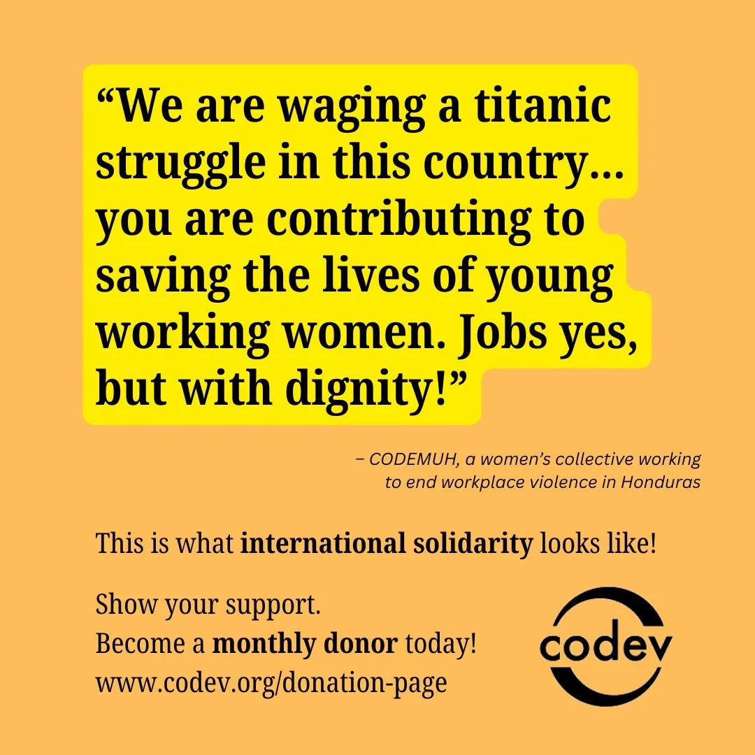 Your solidarity is needed more than ever. Here are just a few ways your support helps drive change across Latin America.

Revitalizing Indigenous knowledge

Several CoDev projects support teacher training focused on developing and implementing Indige