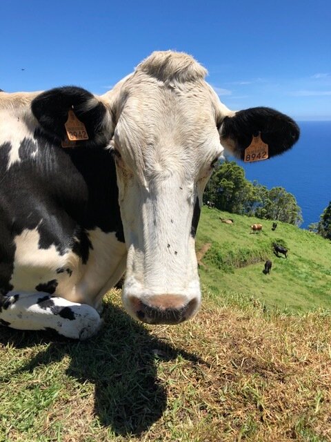 Azores 2018