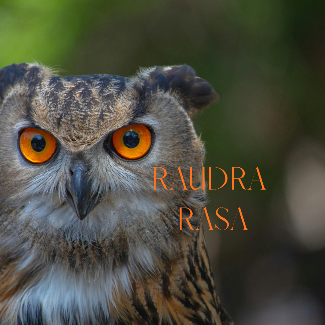 RAUDRA RASA