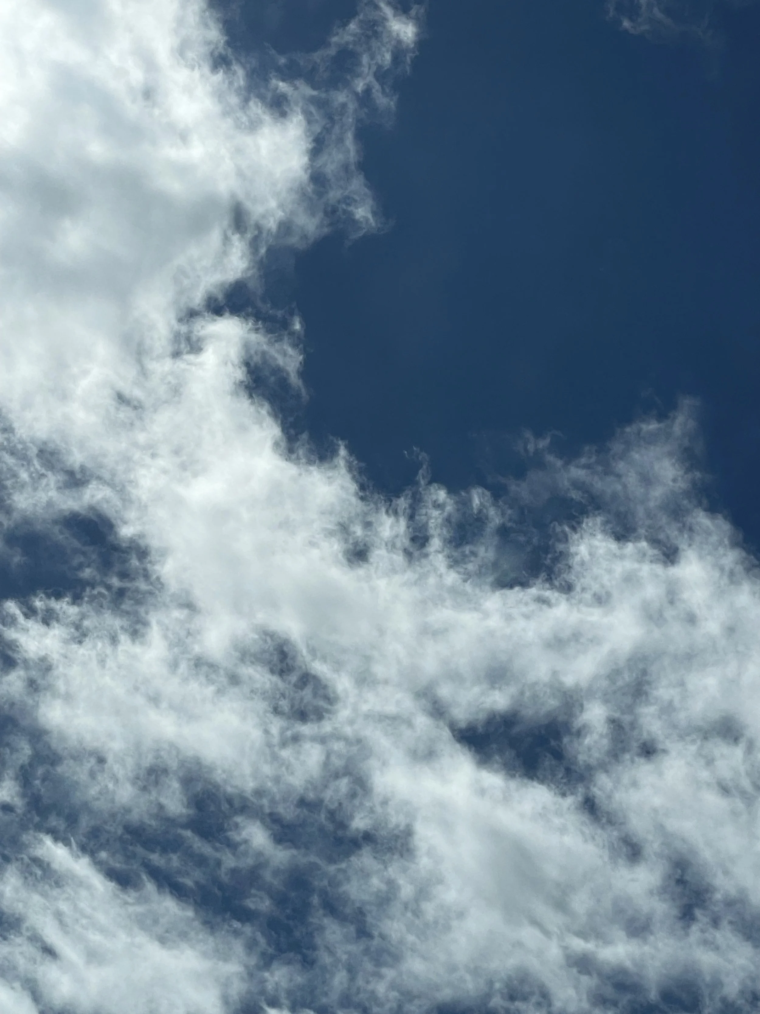 Virtual Breathwork Session