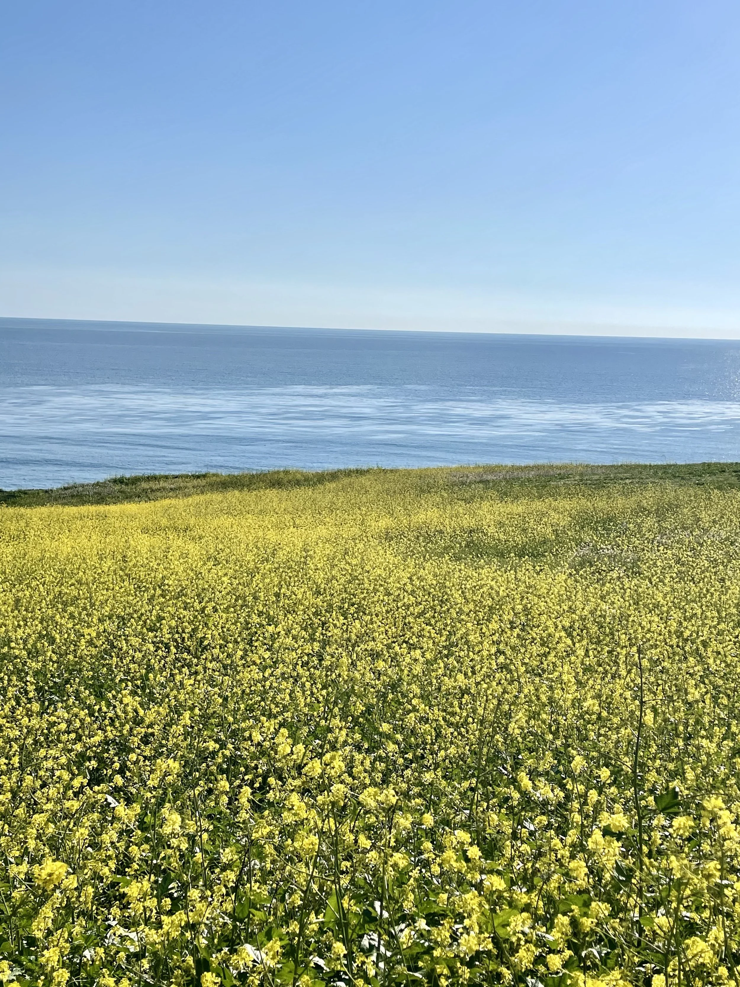 In-Person Breathwork Session