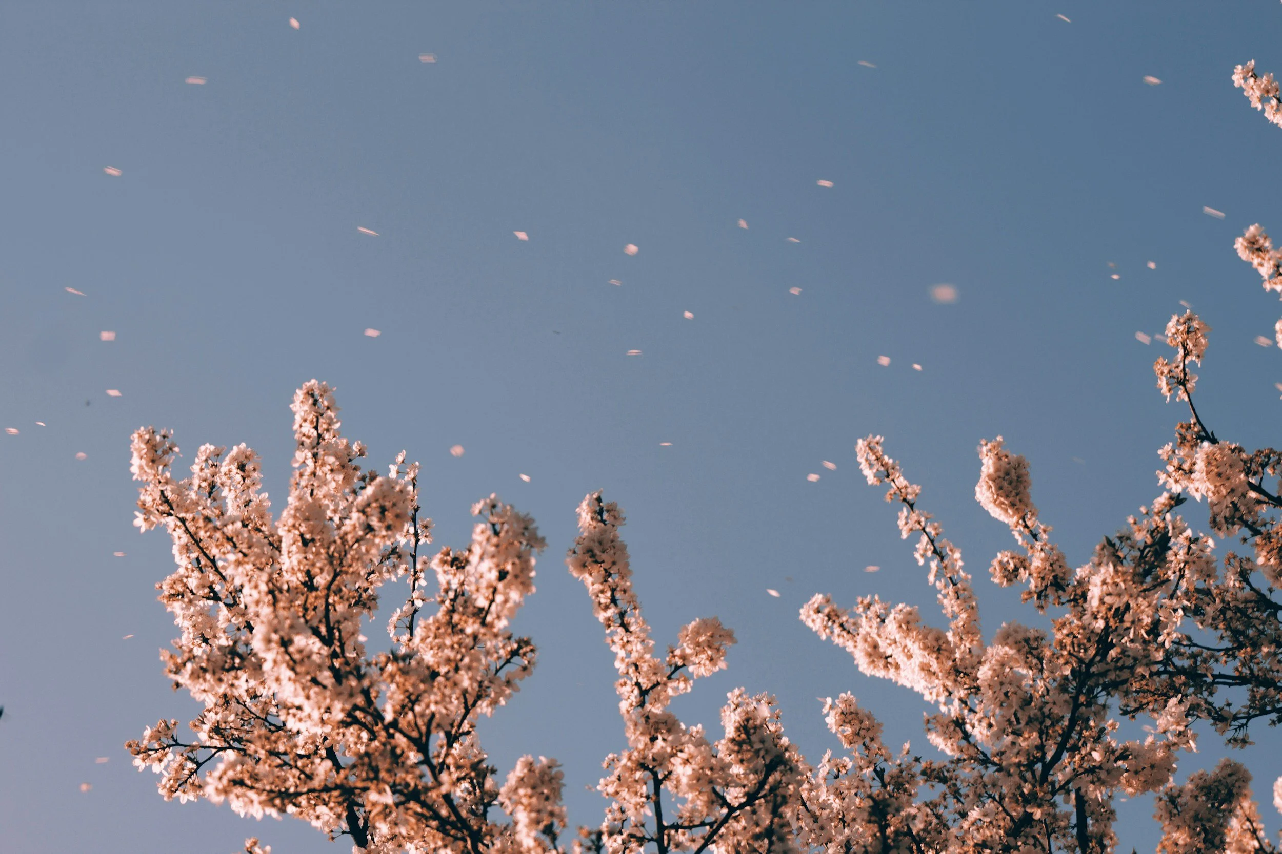 Breathe into the New Year