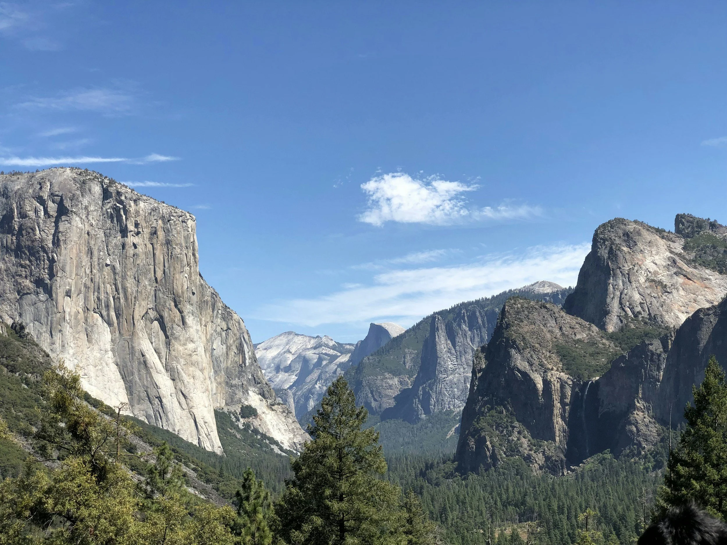 Herbal Tea Ceremony in Yosemite