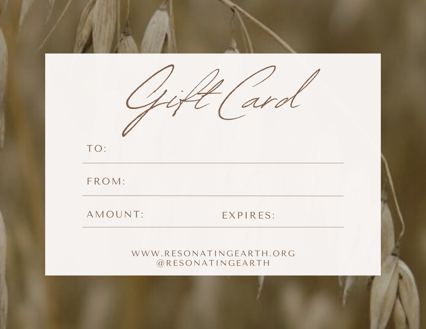 Gift Certificate