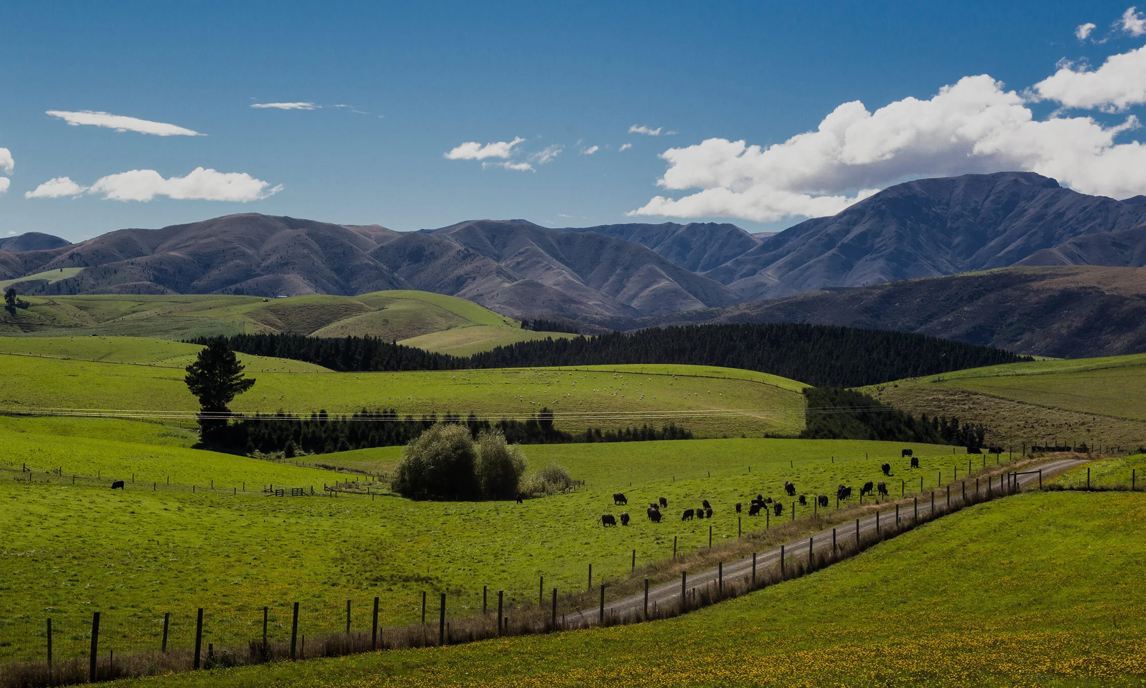 Farm_Img_Fairlie.jpg