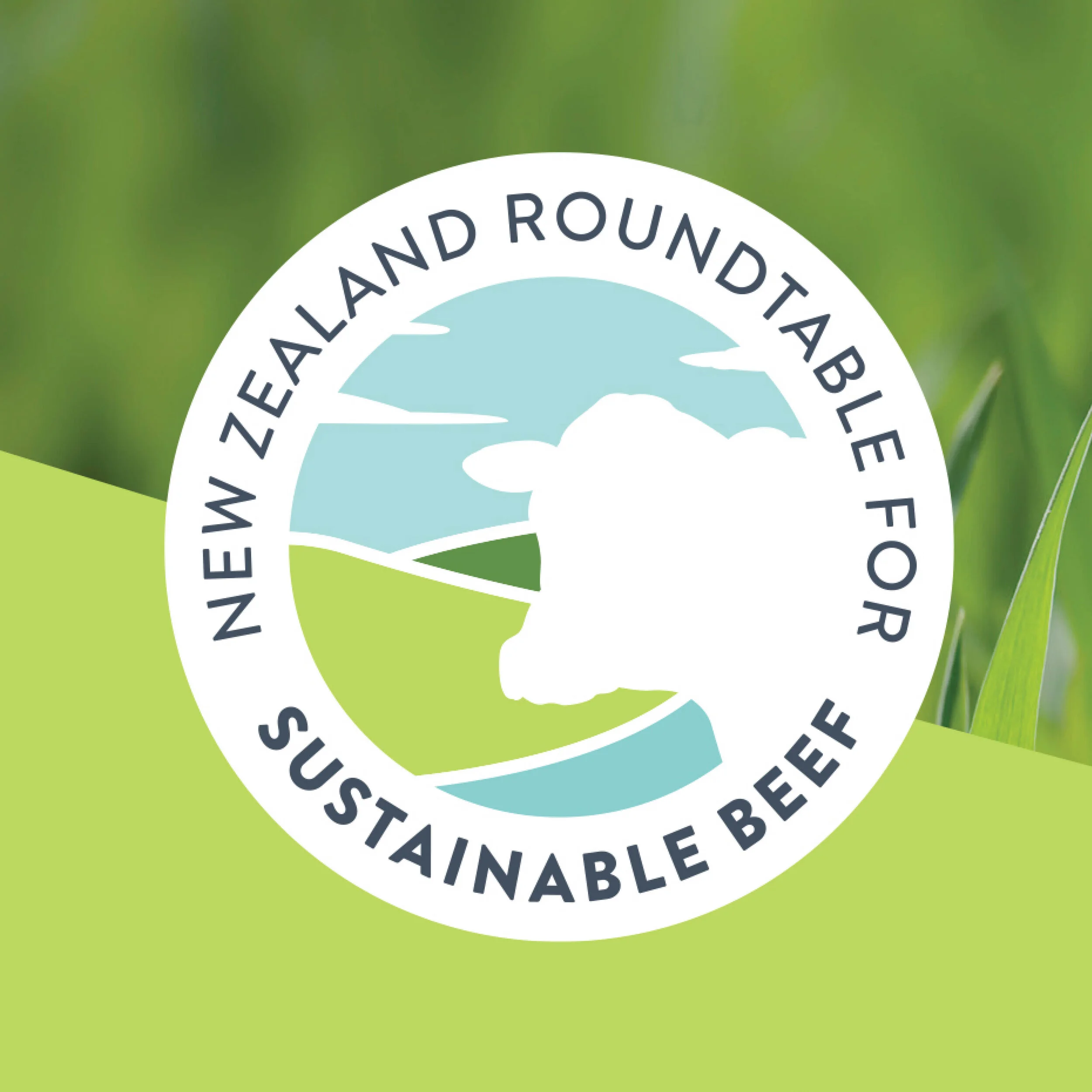 NZRSB 2021 Conference &amp; annual general meeting timetable