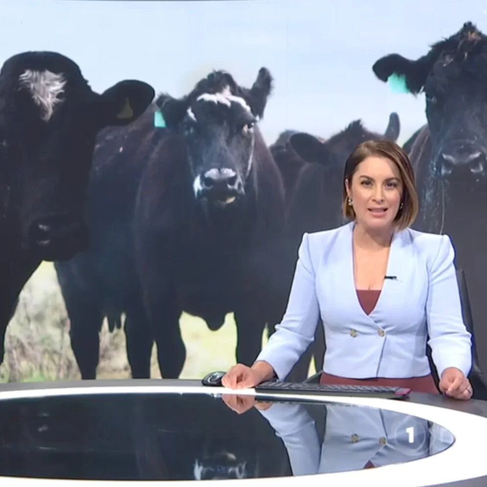 1 NEWS TVNZ SPECIAL REPORT