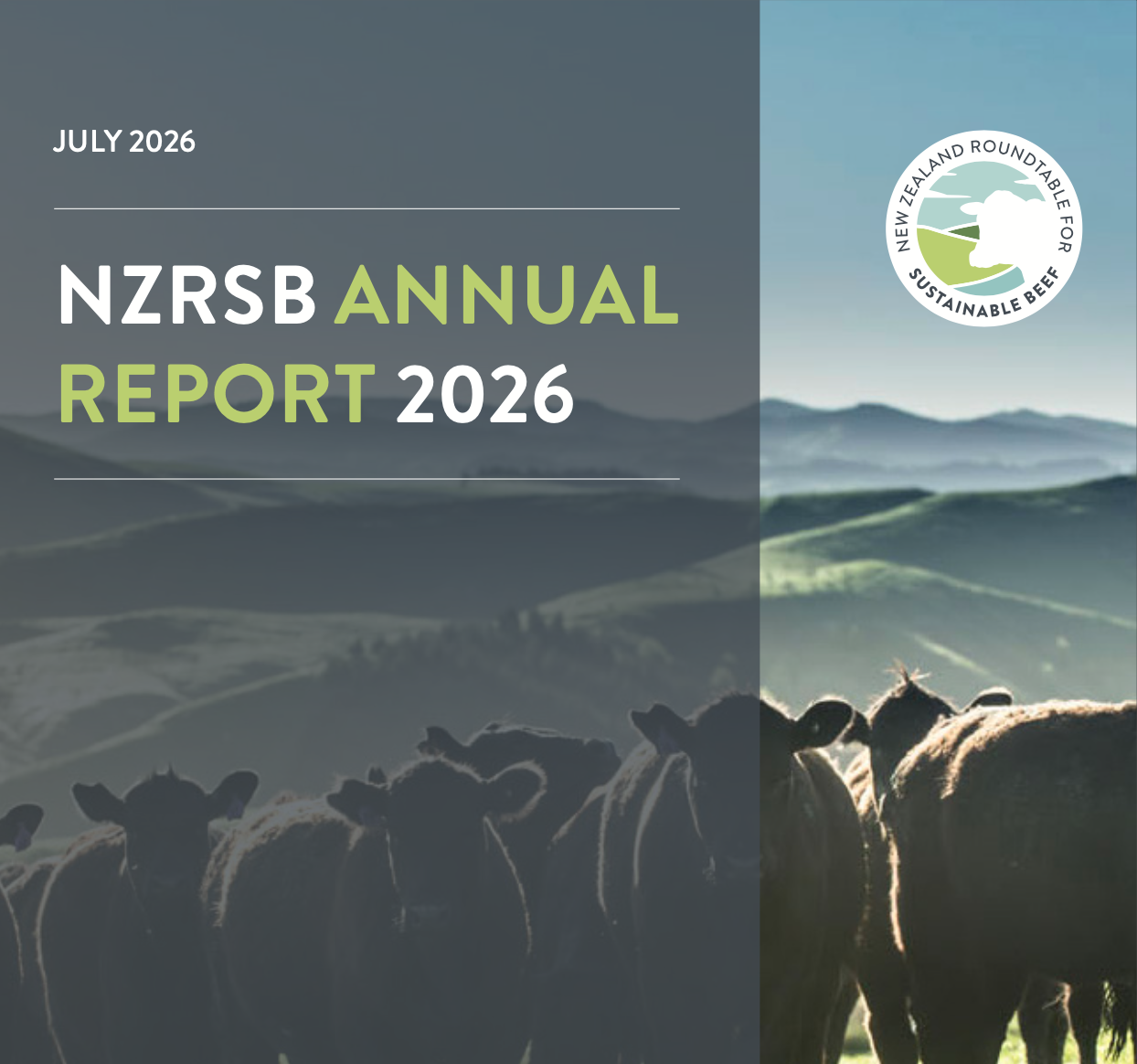 2026 Annual Report 