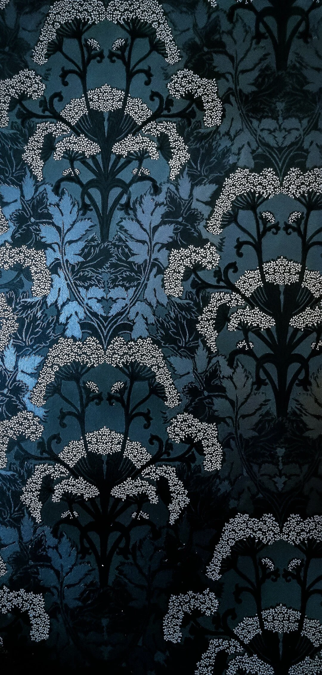 Seddon Wallpaper.jpg