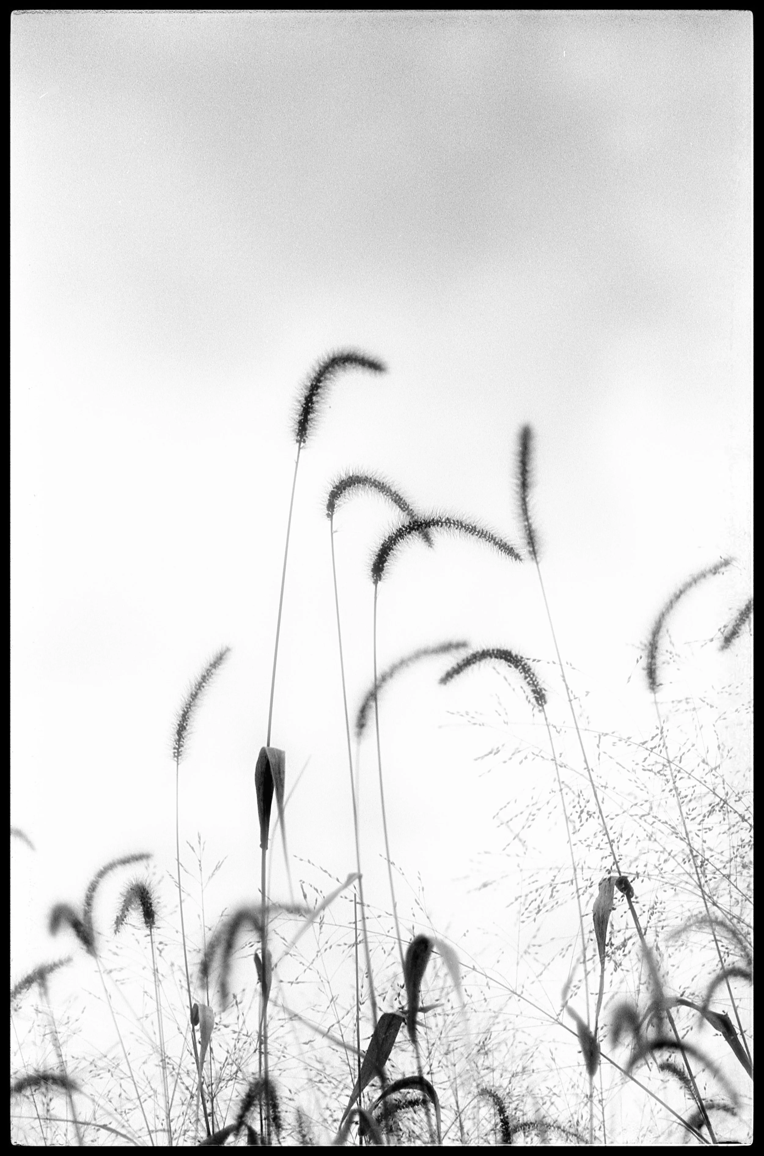 In the field 3