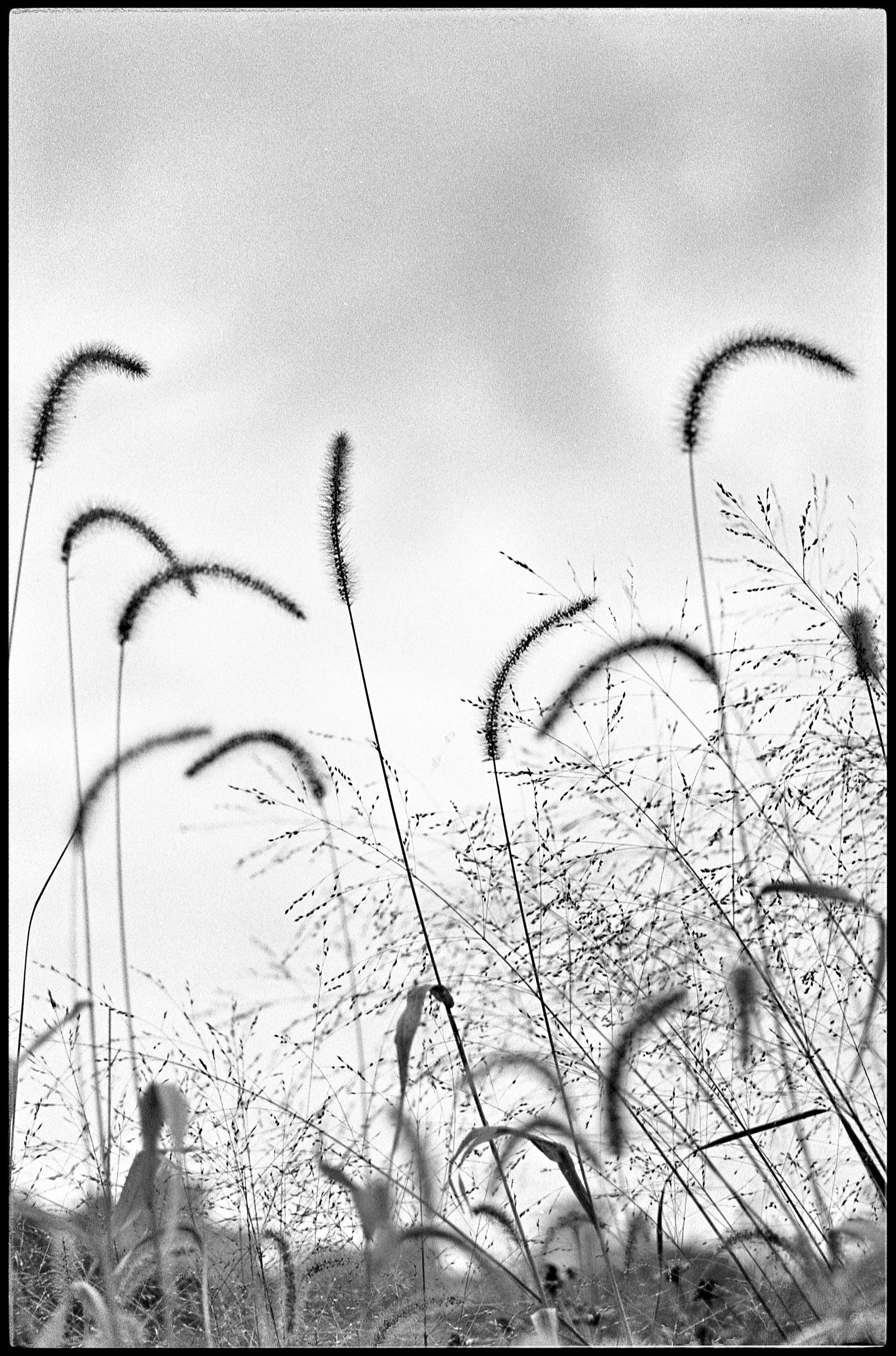 In the field 1.