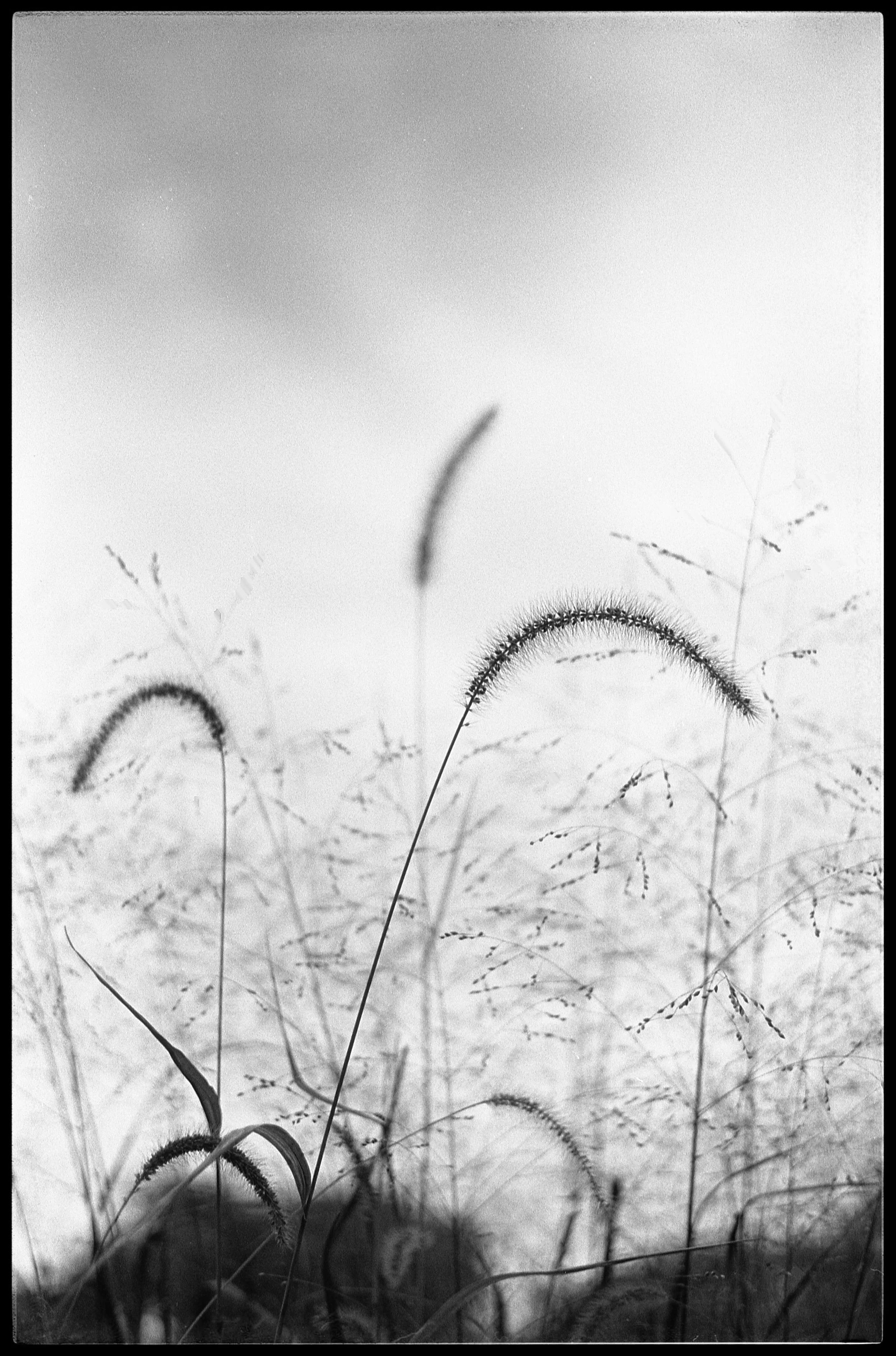In the field 2