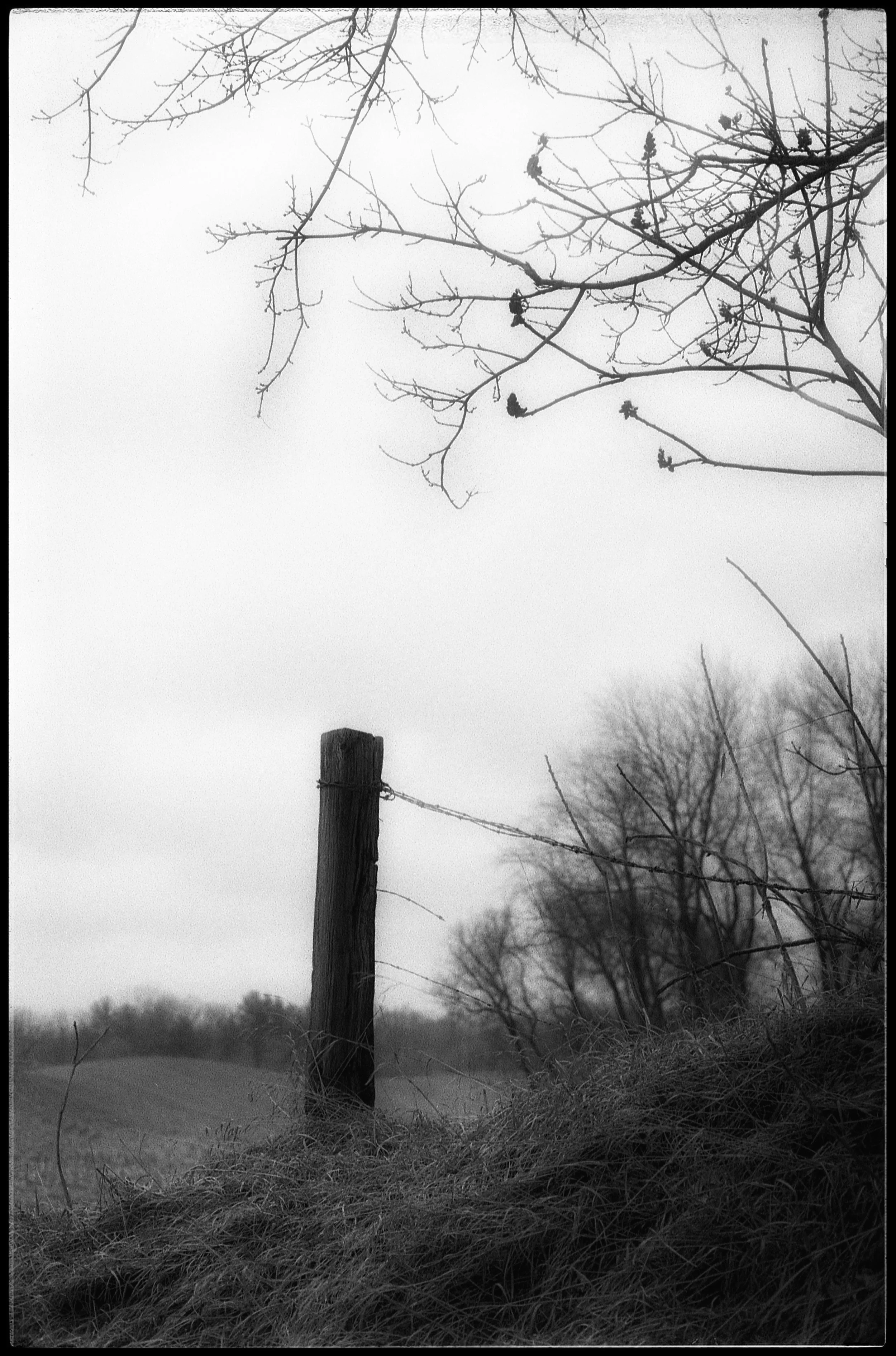 The Post