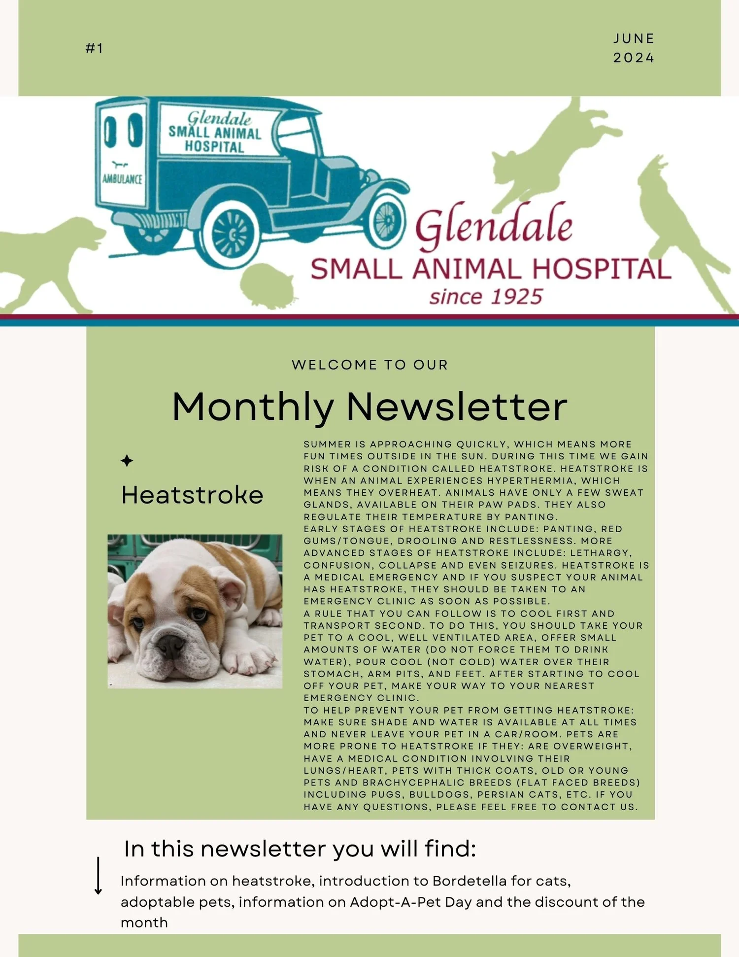 Newsletter — Glendale Small Animal Hospital