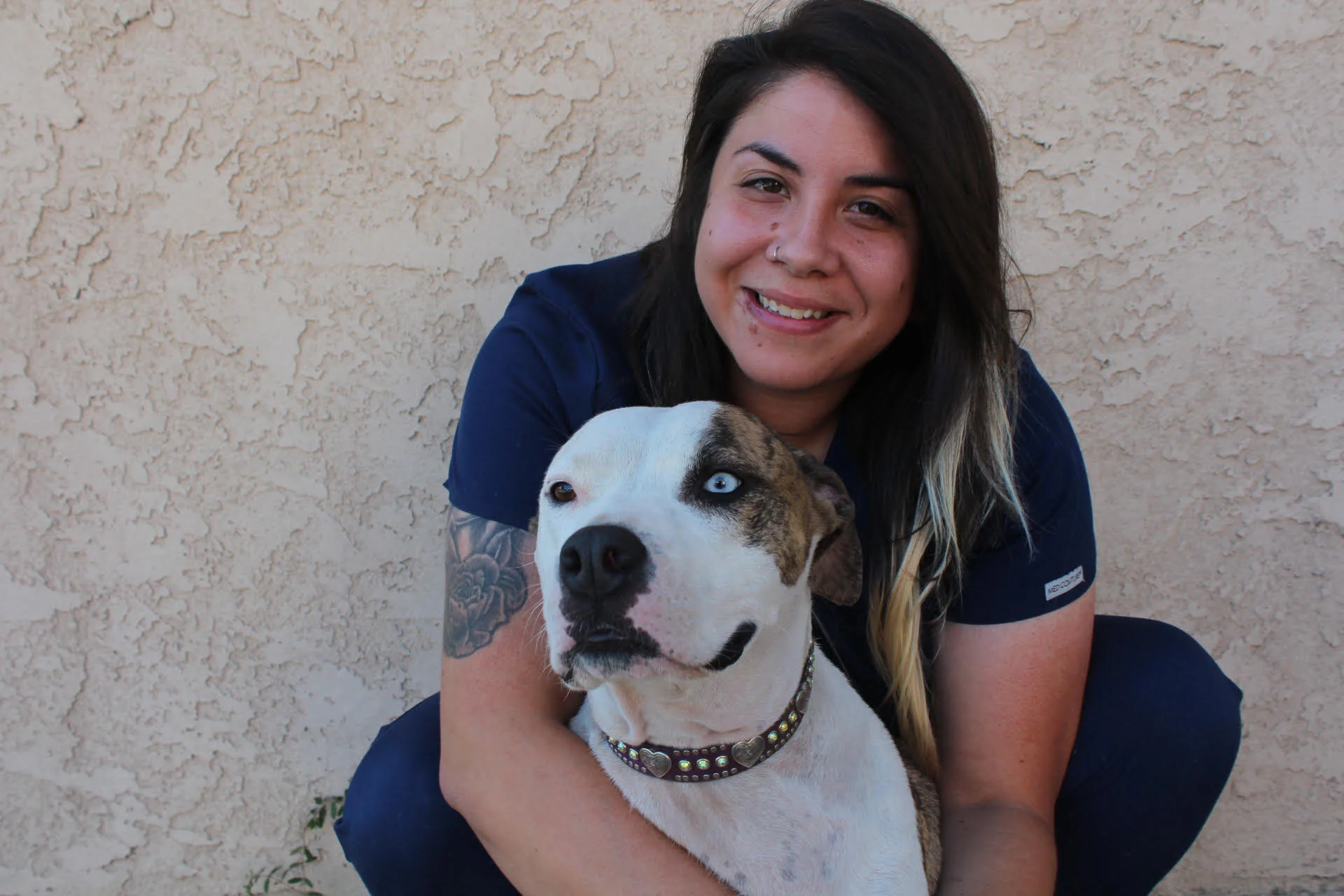 Hospital Team — Glendale Small Animal Hospital