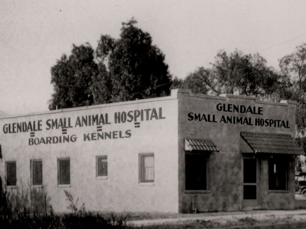 Glendale Small Animal Hospital